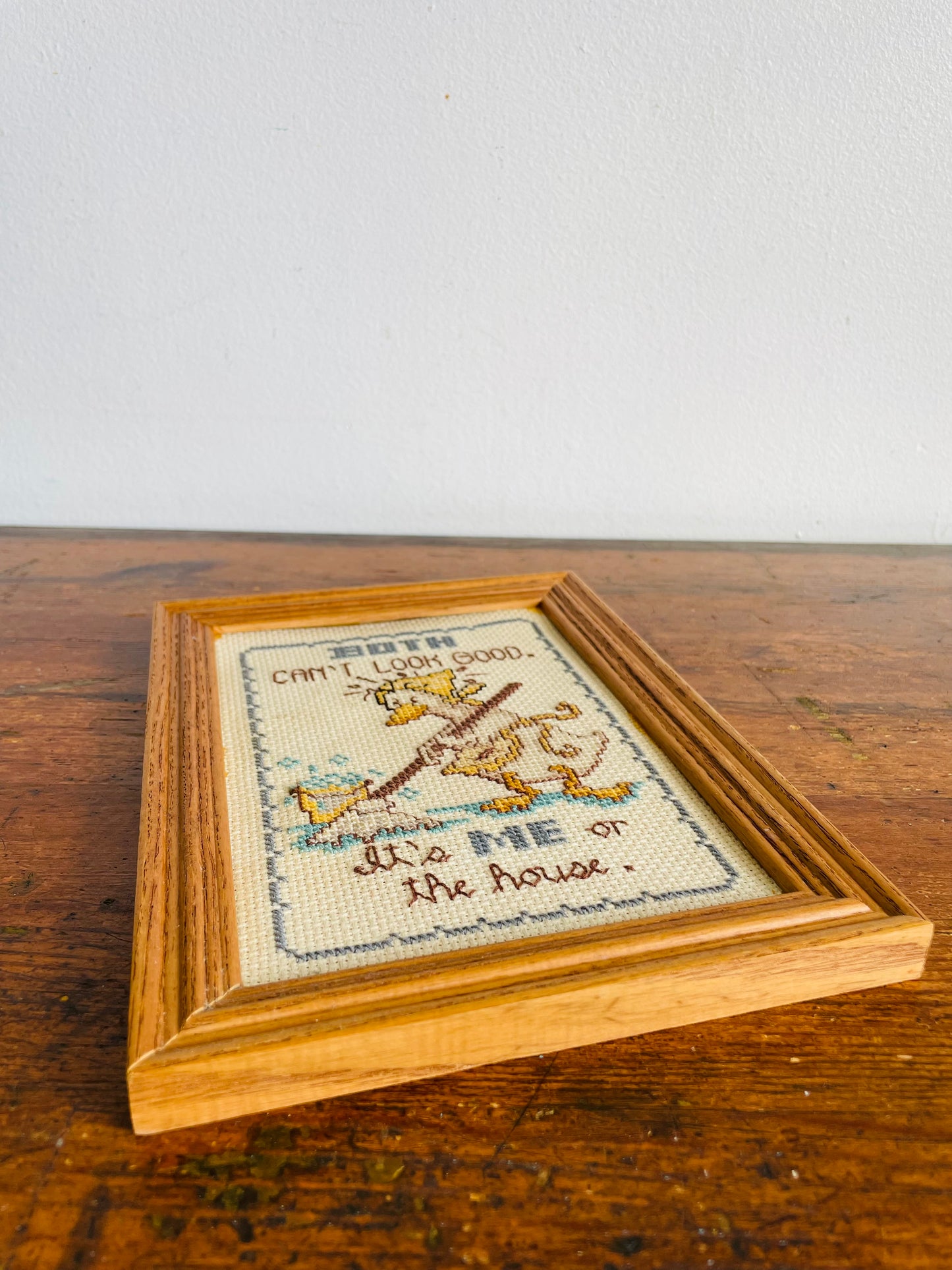 Vintage Duck Embroidery Picture - Both Can't Look Good. It's ME or the House.
