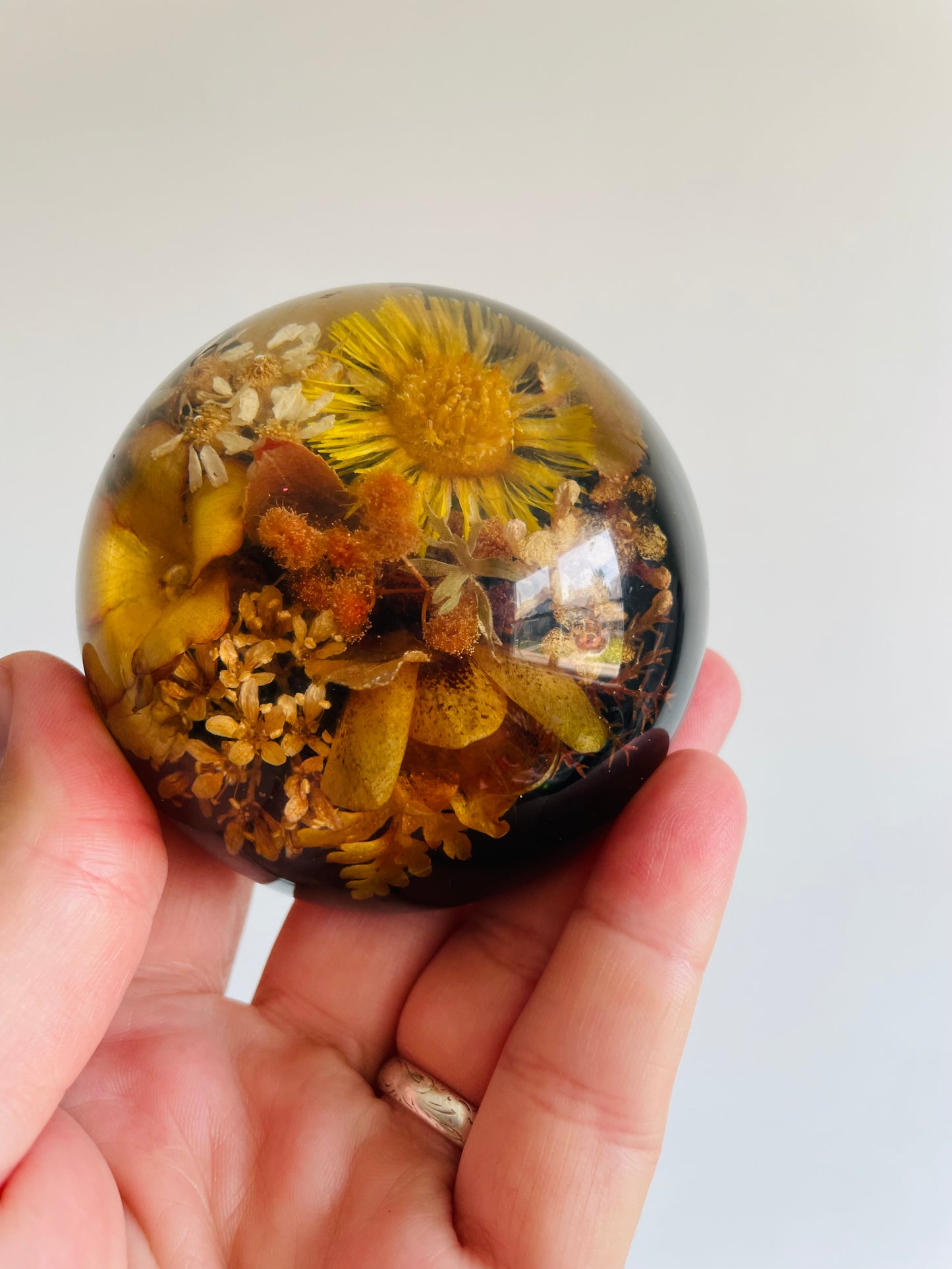 Preserved Dried Flowers Lucite Paperweight