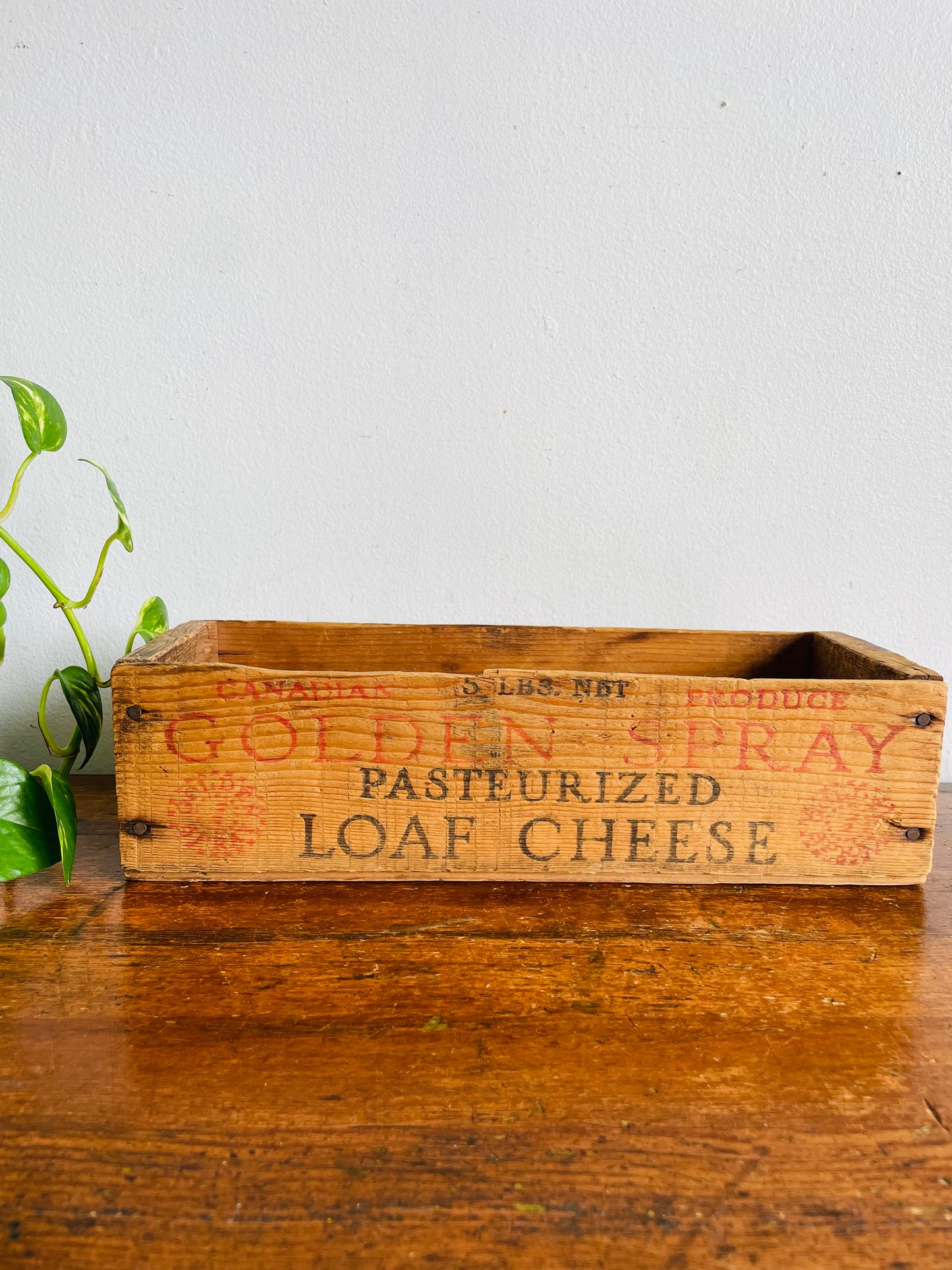 Vintage Wood Cheese Box - Golden Spray Canadian Produce - Pasteurized Loaf Cheese - National Grocers Co. Toronto