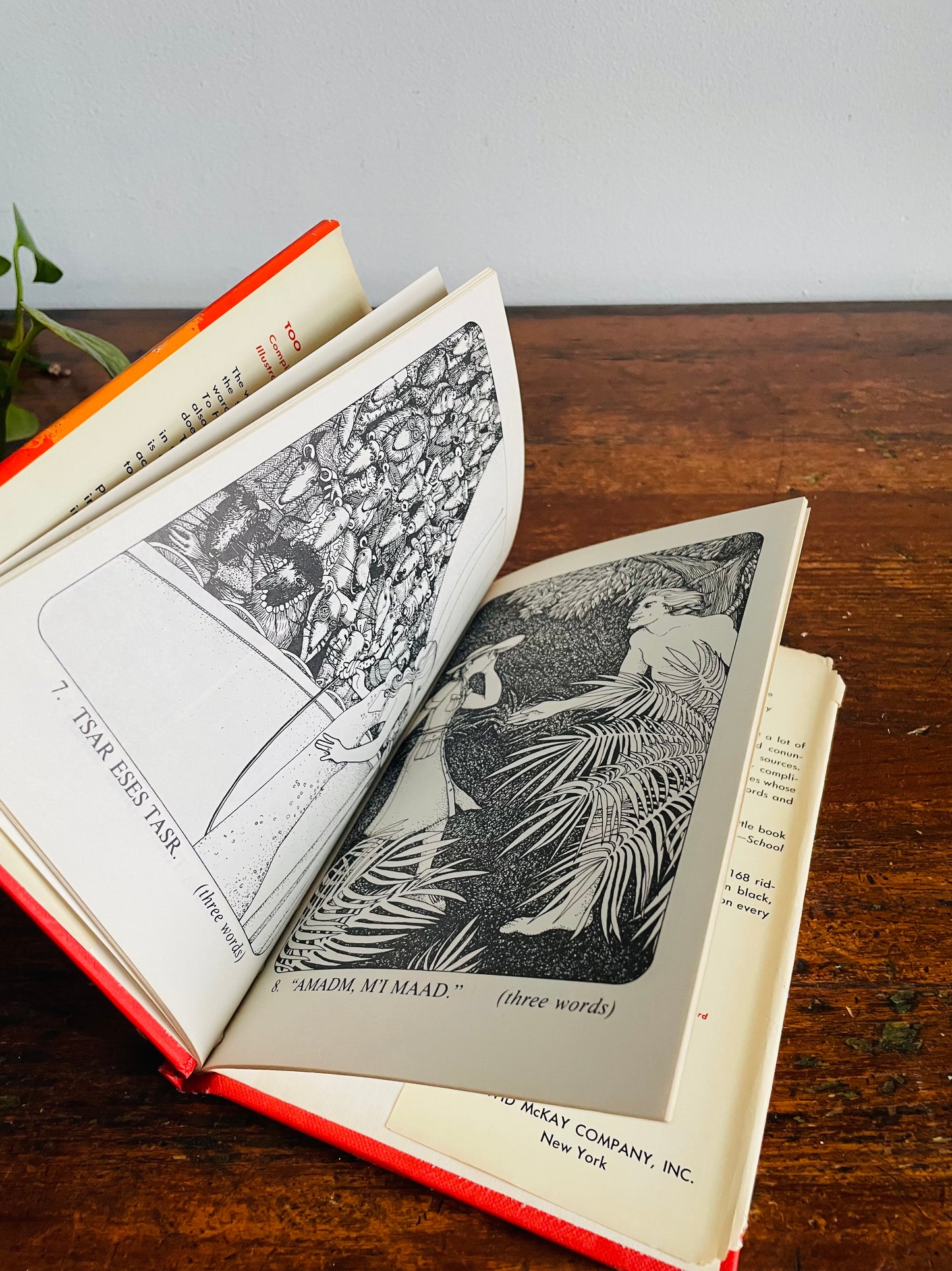 Vintage Too Hot to Hoot: The Palindrome Puzzle Hardcover Book by Raymond Stuart & Pictures by Pamela Ford (1977)