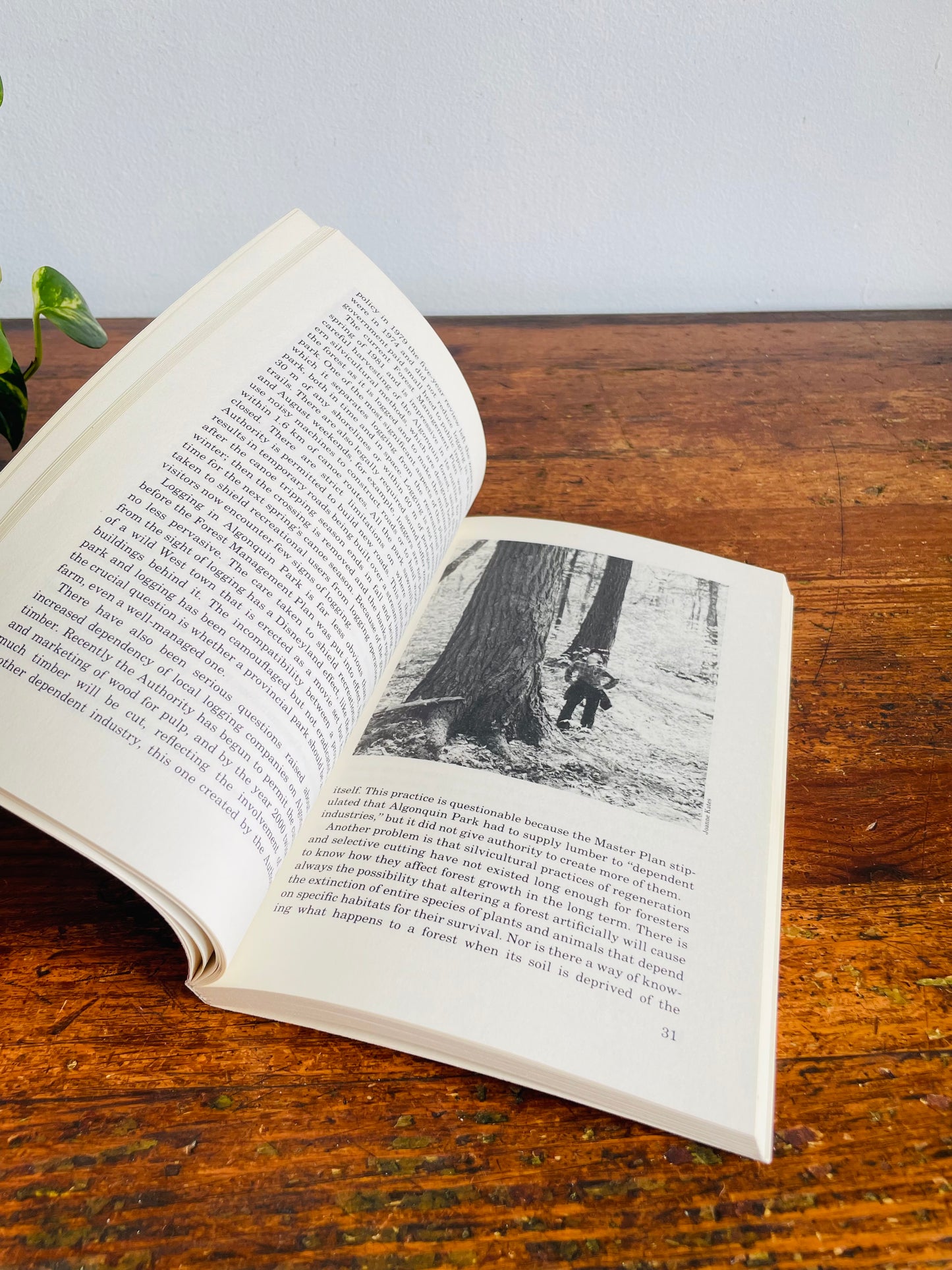 Vintage Exploring Algonquin Park Softcover Book by Joanne Kates (1985)