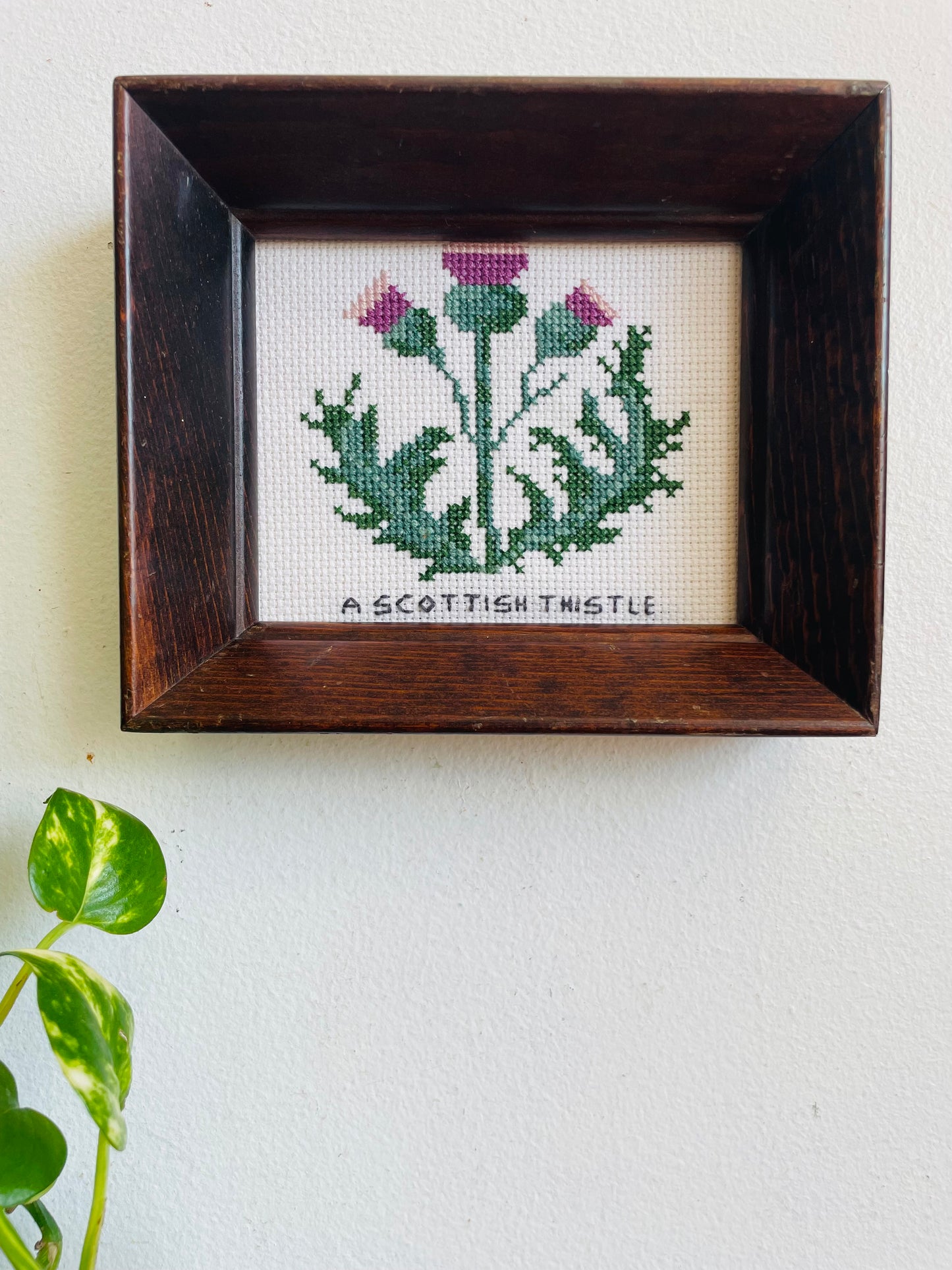 Vintage Scottish Thistle Flower Cross Stitch Embroidery Picture in Chunky Wood Frame