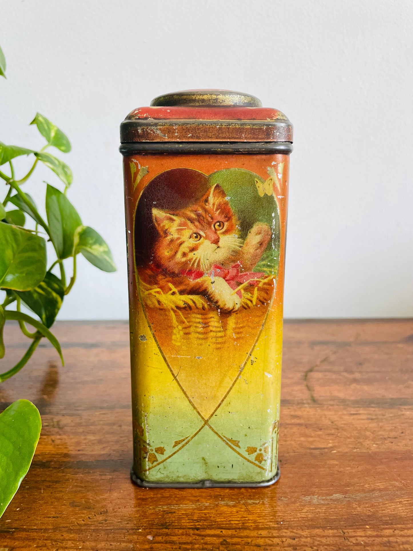 Vintage Cat Tin With Hinged Lid - Heart & Kitten Design - Black & White / Orange & White Kittens