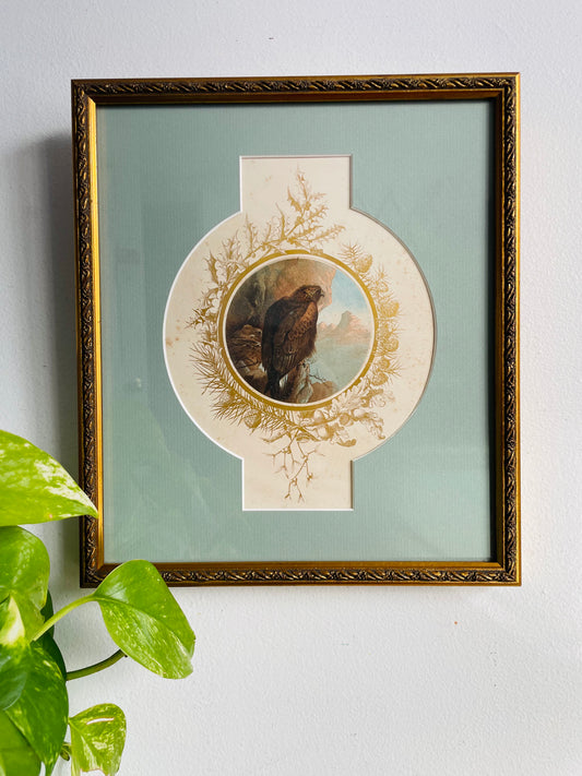 Vintage Illustrated Print Picture of Golden Eagle Bird with Chicks in Nest Overlooking Mountains - Gold Frame & Details, Unique Mat & Professionally Framed - Stunning Colours!