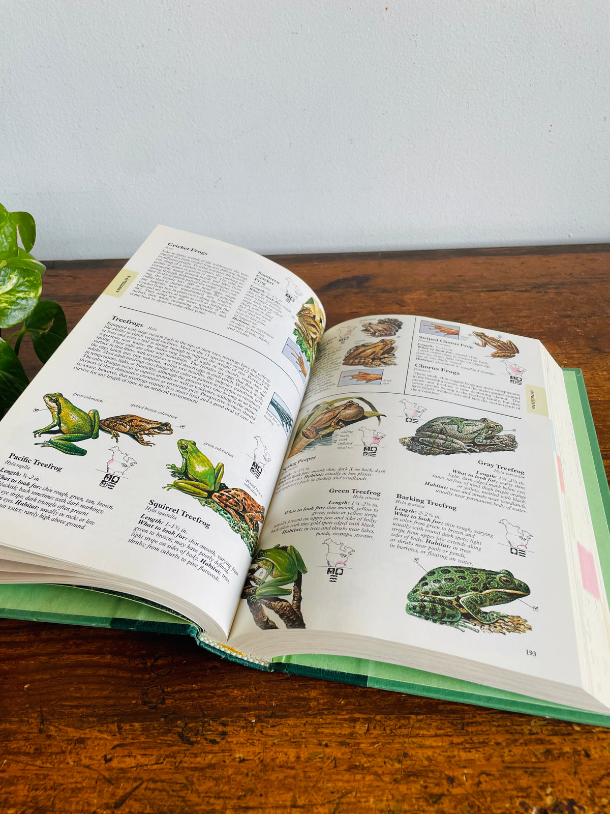 Vintage Reader's Digest North American Wildlife Hardcover Nature Guide Book with Illustrations (1982)