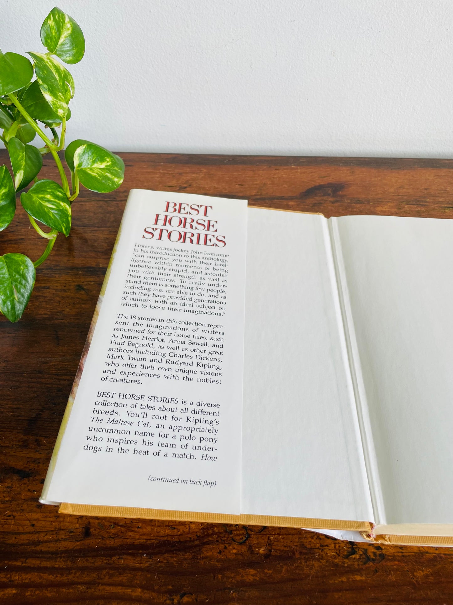 Vintage Best Horse Stories Hardcover Book Compiled by Lesley O'Mara - Dickens, Twain, Sewell, Herriot, Kipling, & More (1991)