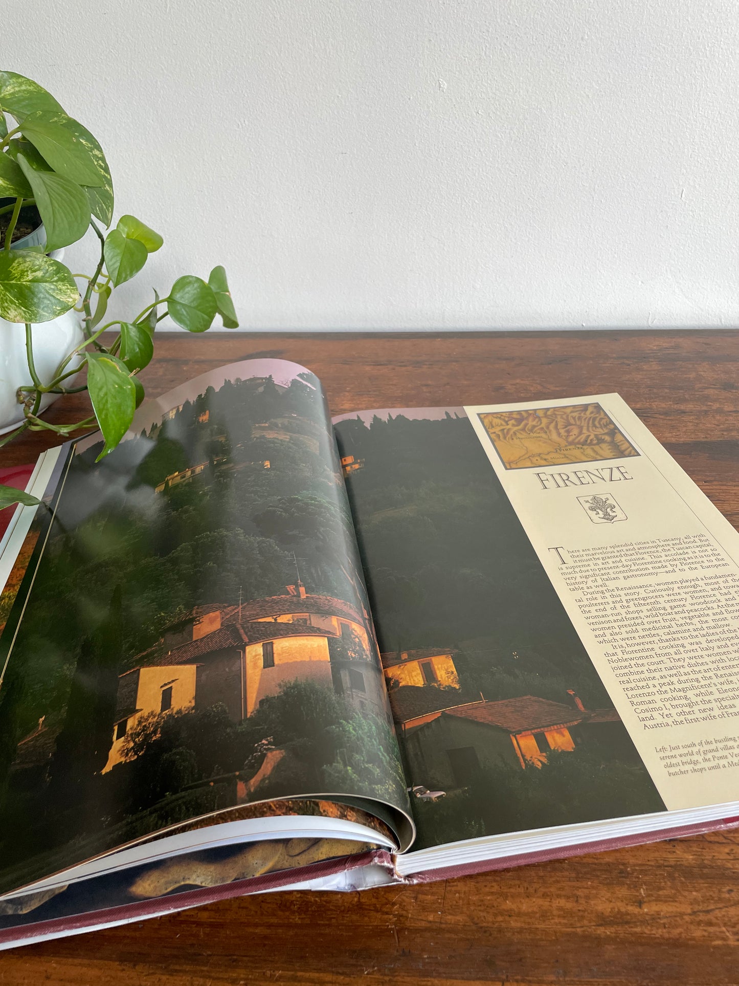 Lorenza De'Medici's Tuscany: The Beautiful Cookbook - Giant Hardcover Book with Photos (1996)
