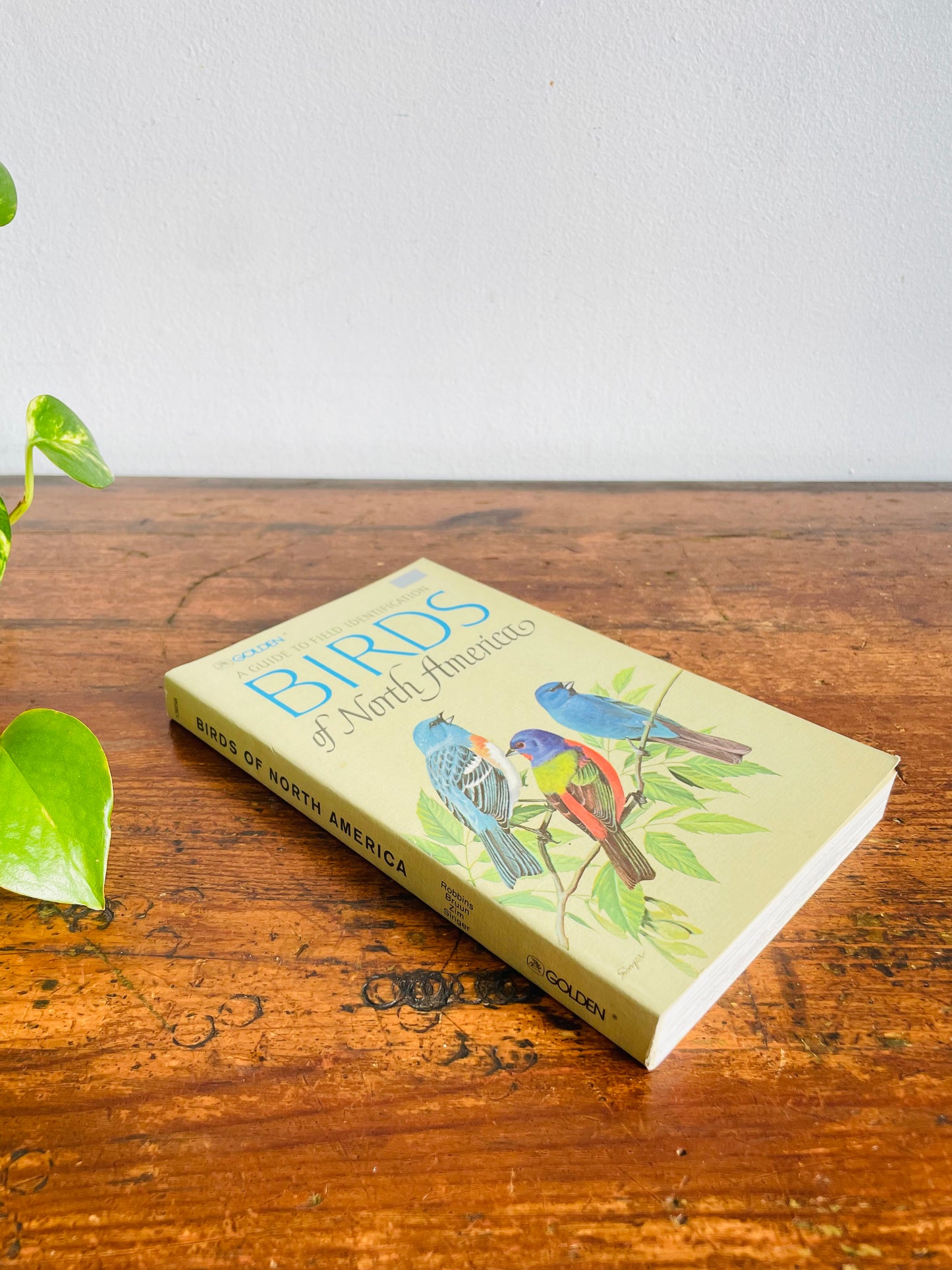 Vintage Golden Guide to Field Identification of the Birds of North America Softcover Book (1966)