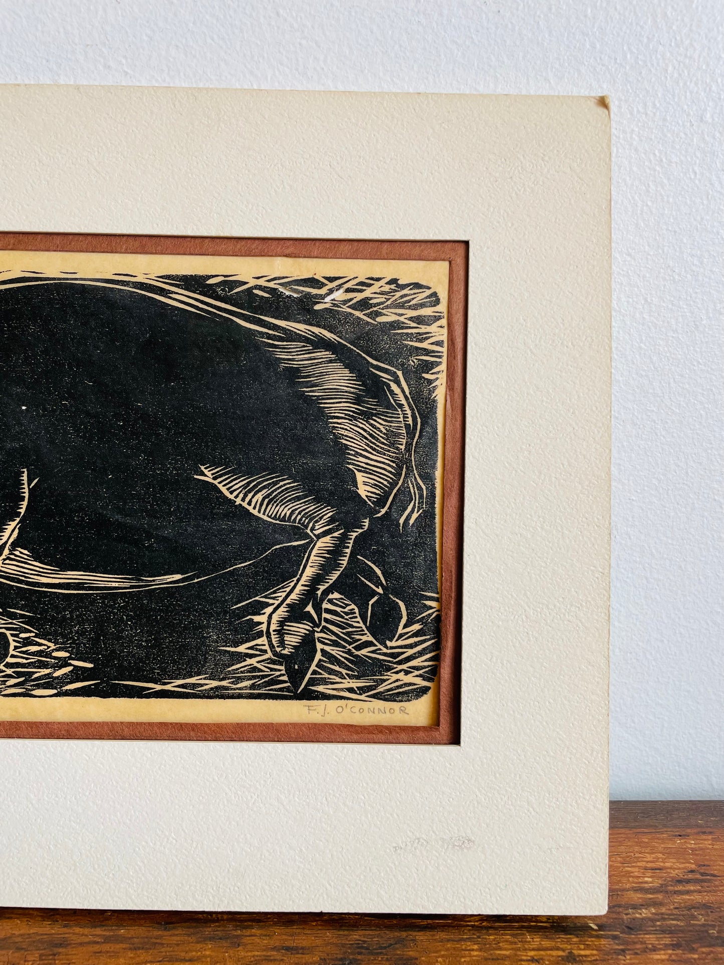 Matted Woodcut Print Picture of Prize Sow Pig - Signed & Numbered - 2/6 "Fair" by F.J. O'Connor