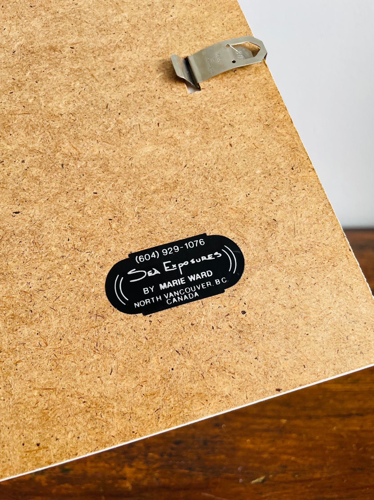 Vintage Pressed Seaweed Original Art - Artist Signed - Marie Ward - North Vancouver BC - 11.75" x 9.5"