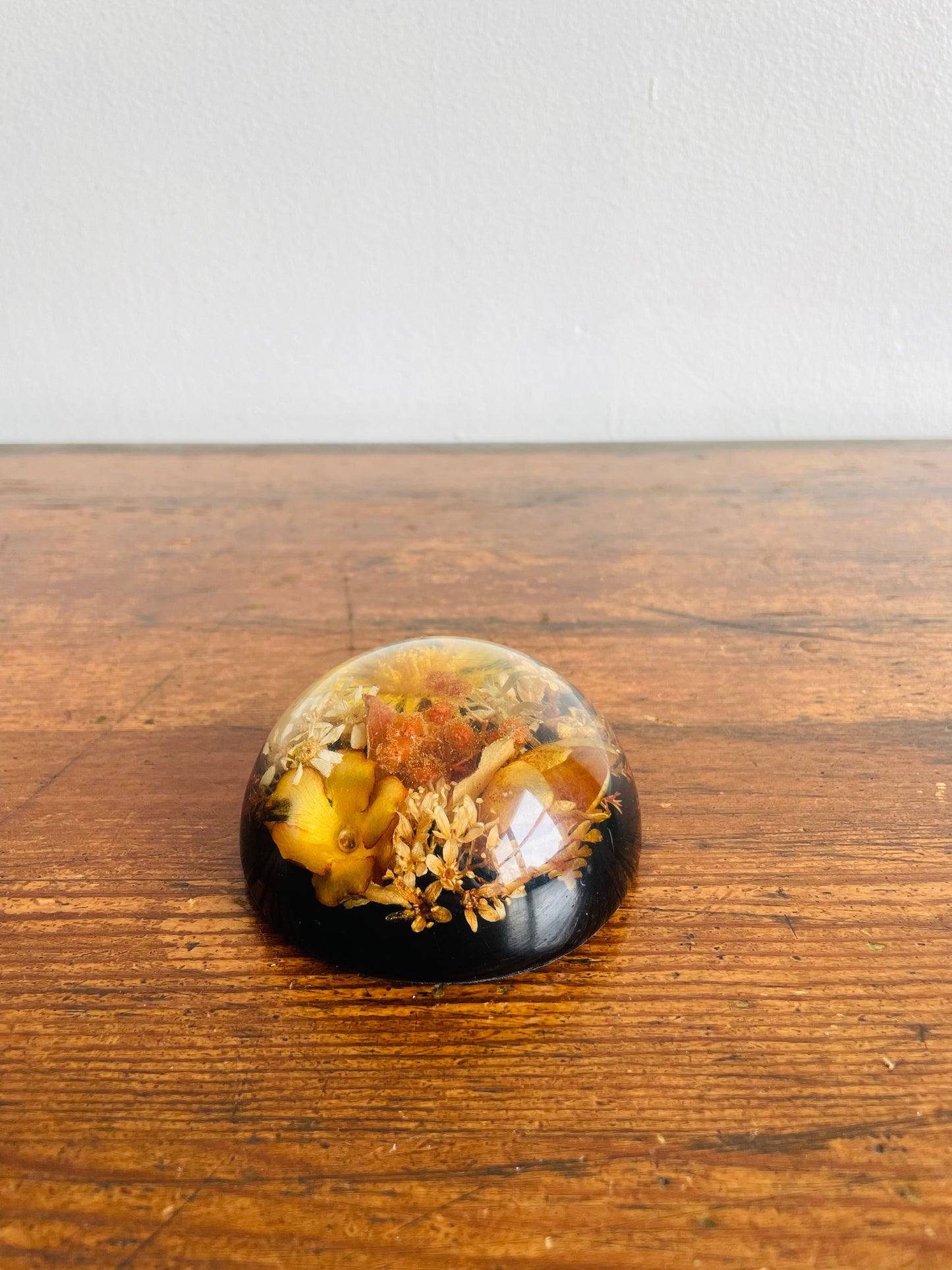 Preserved Dried Flowers Lucite Paperweight