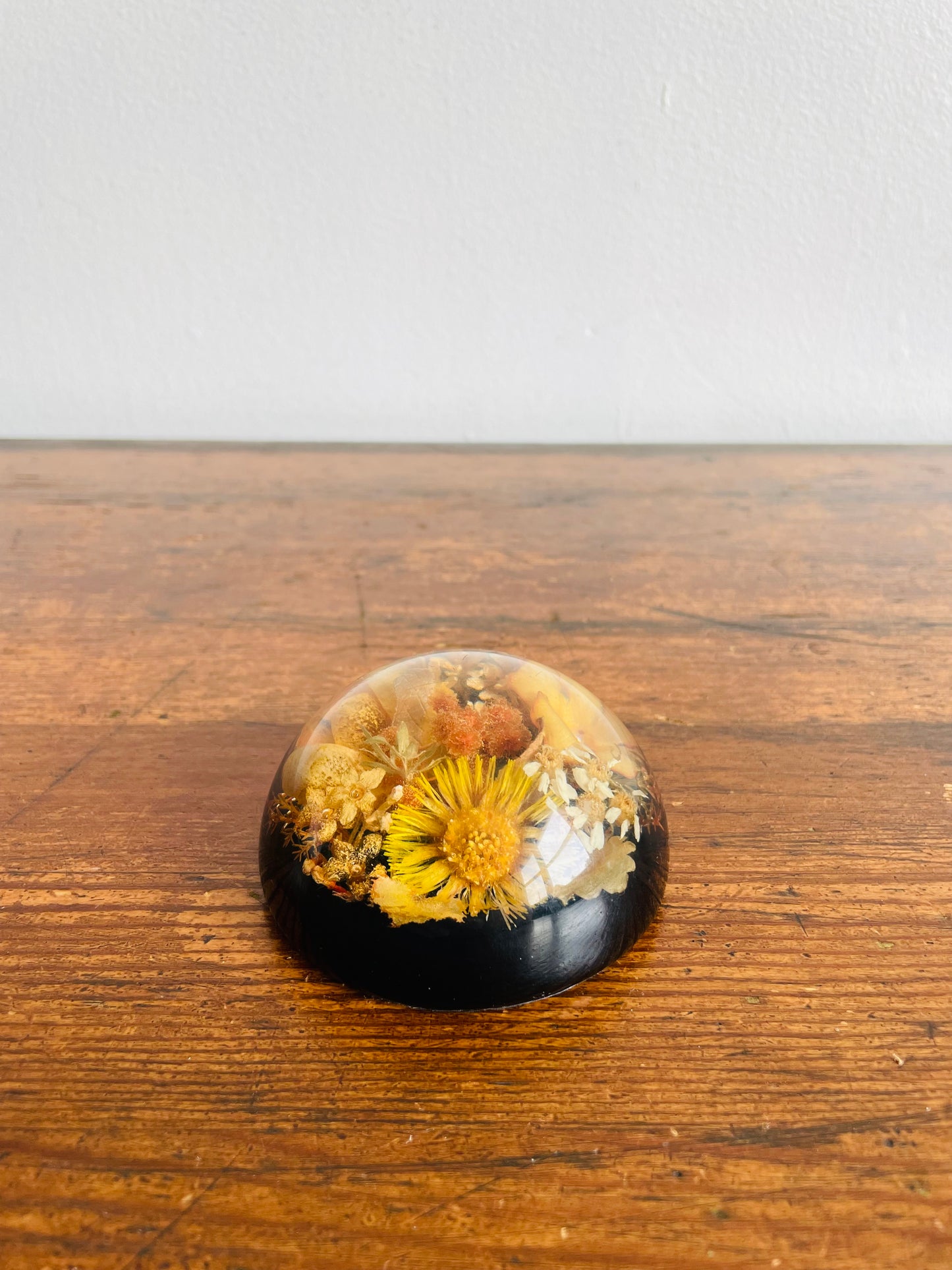 Preserved Dried Flowers Lucite Paperweight