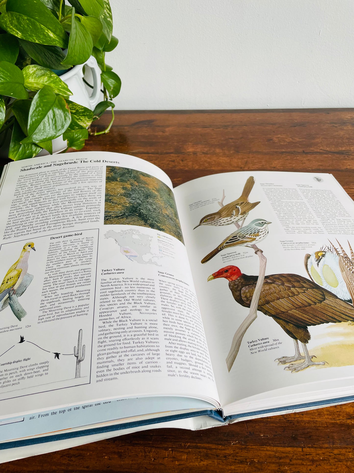 The World Atlas of Birds Large Hardcover Book by B. Mitchell (1989)