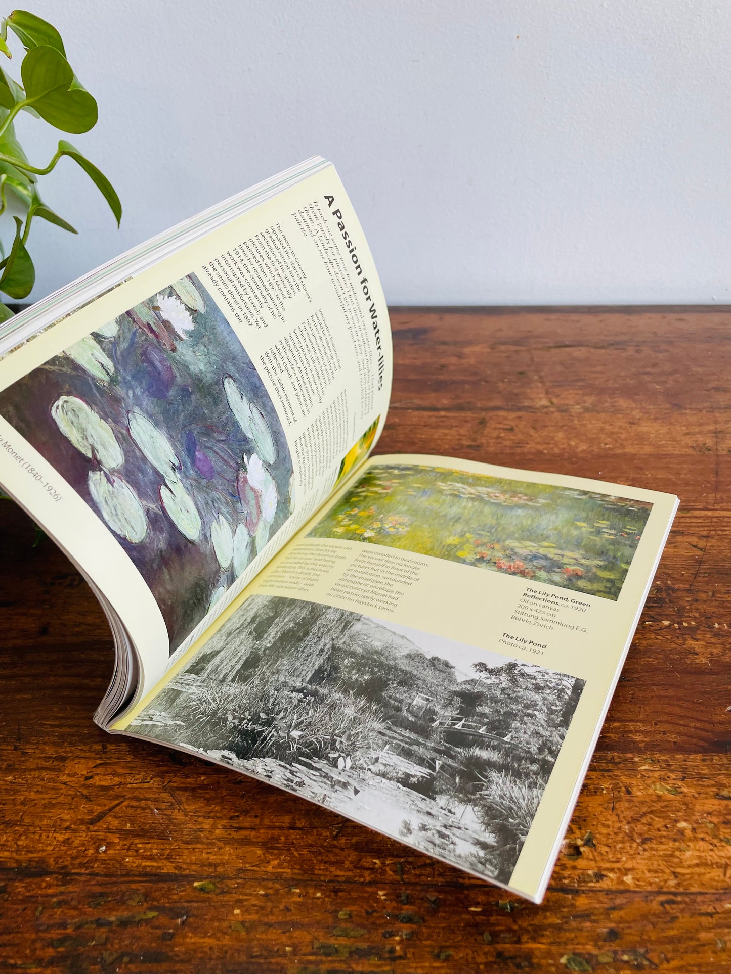 Vintage Art in Focus Claude Monet: Life & Work Art Book by Birgit Zeidler (2000)