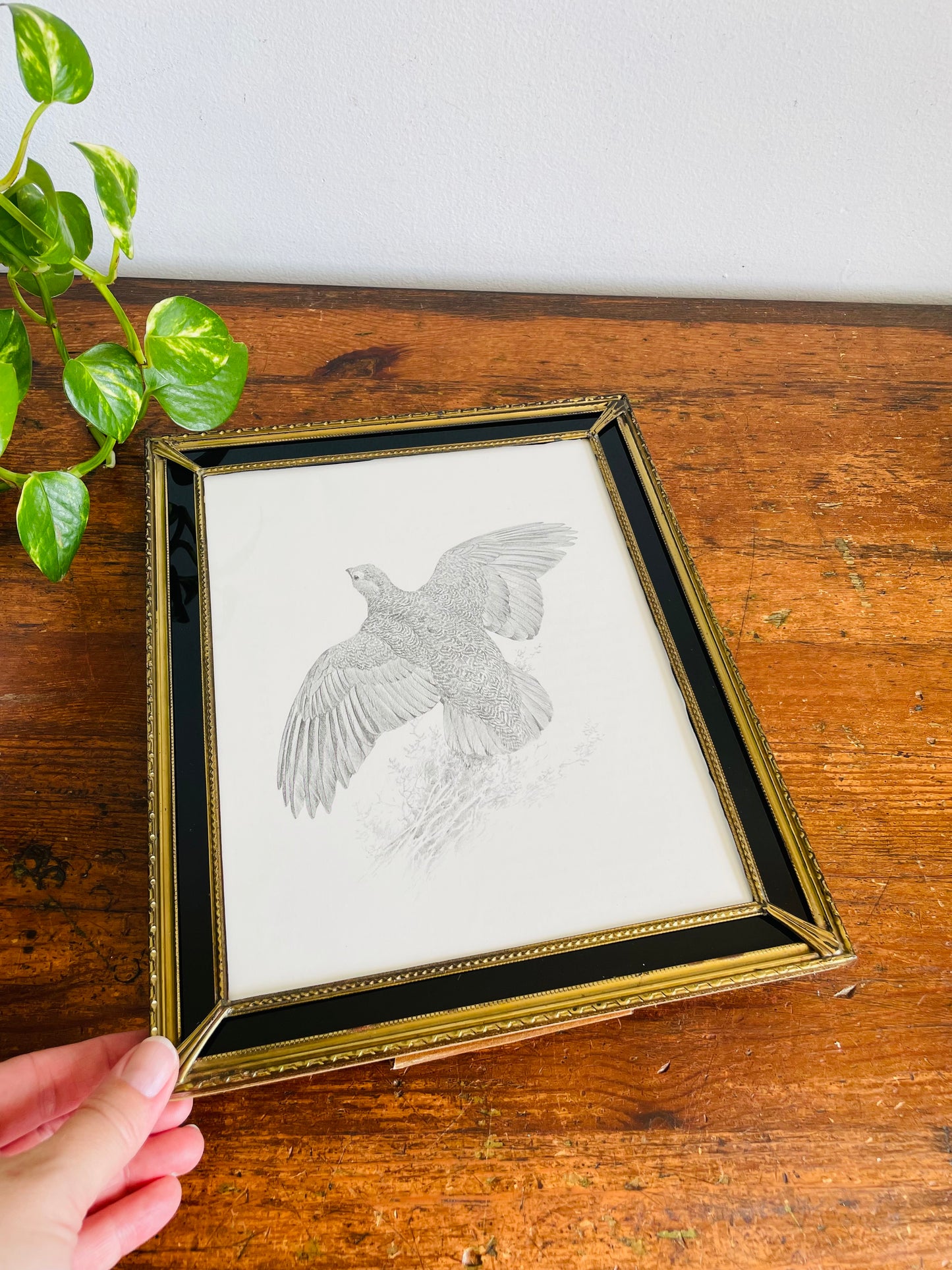 Vintage Stunning Brass & Glass Picture Frame with Black Mat & Easel or Hook Backing - Black & White Grouse Bird in Flight Print Currently Inside / Easily Swap for Your Own Picture!