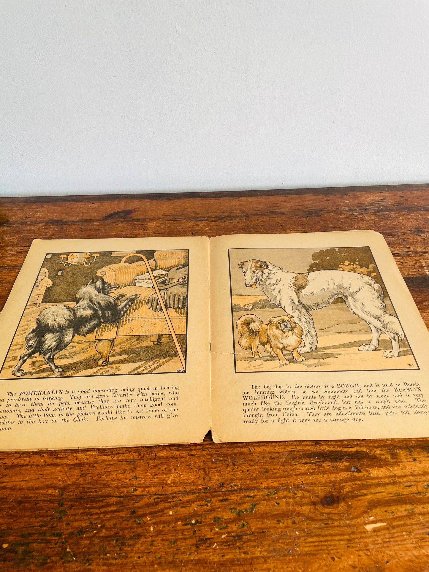 Antique A Book of Dogs - The Canada Games Co. (1921) - Fantastic Illustrations for Prints & Framing!