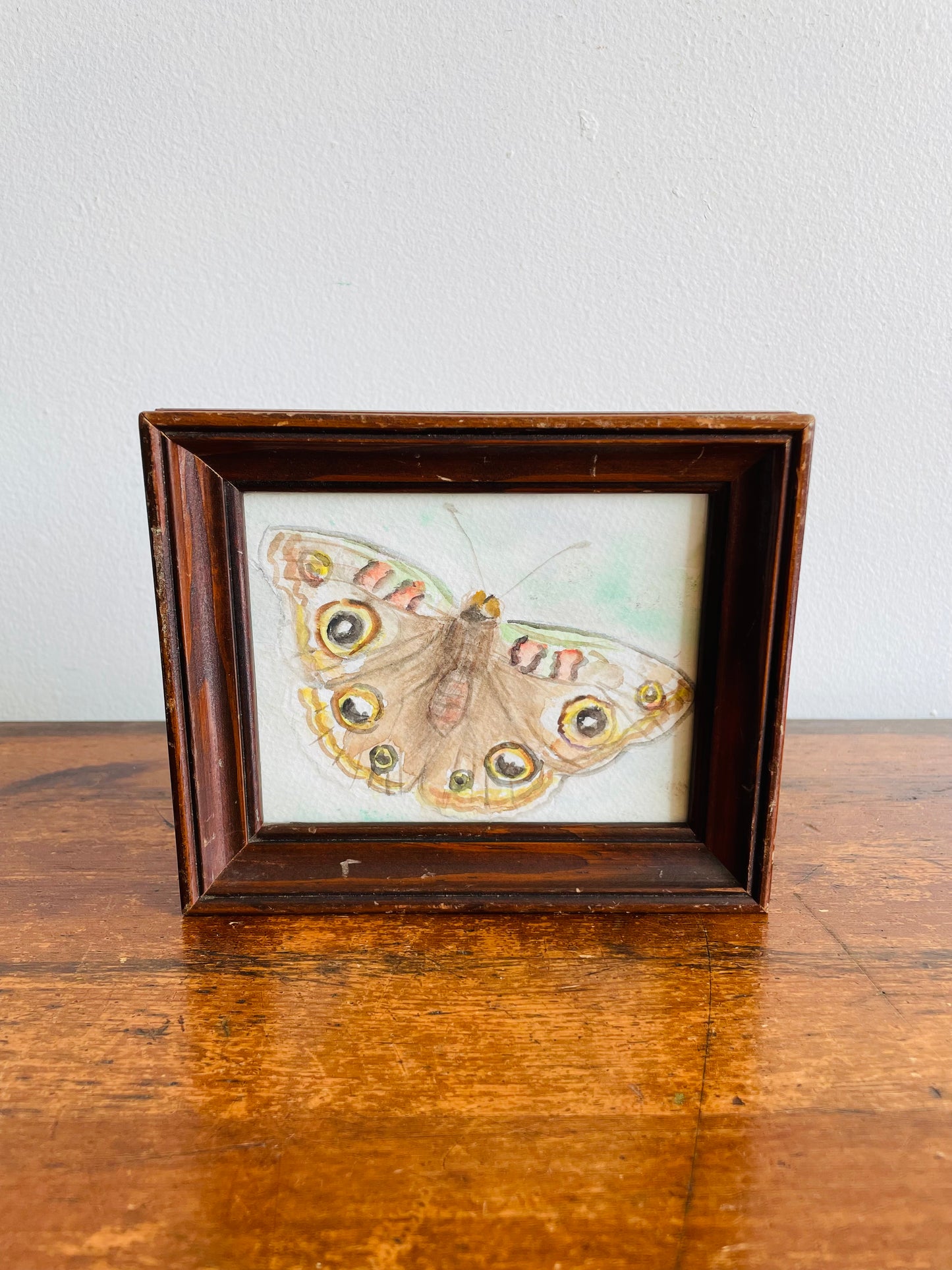 Original Art - Small Watercolour Painting of a Moth