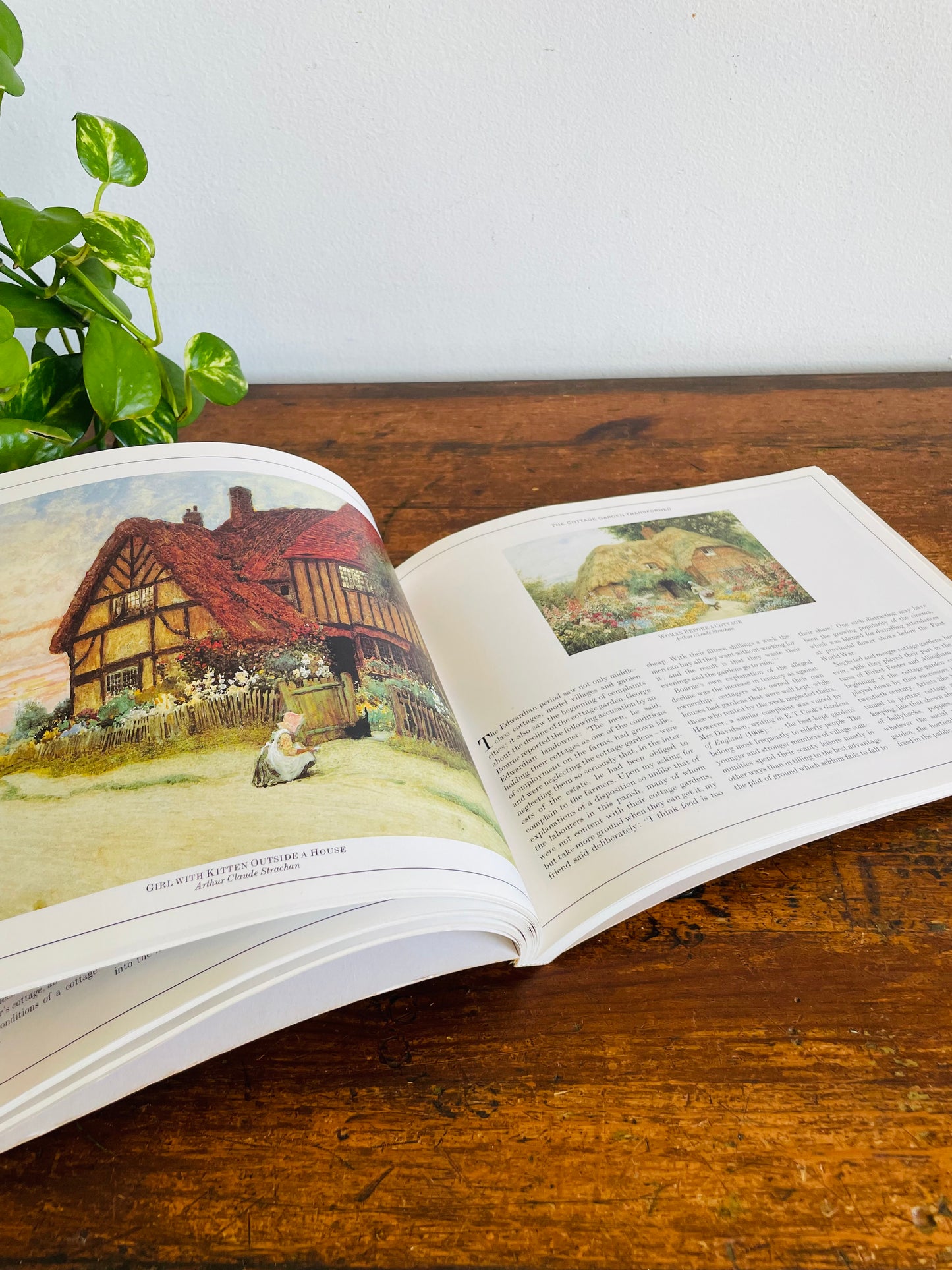 Vintage Victorian Flower Gardens Book by Andrew Clayton-Payne & Brent Elliott - Gorgeous Illustrations! (1988)