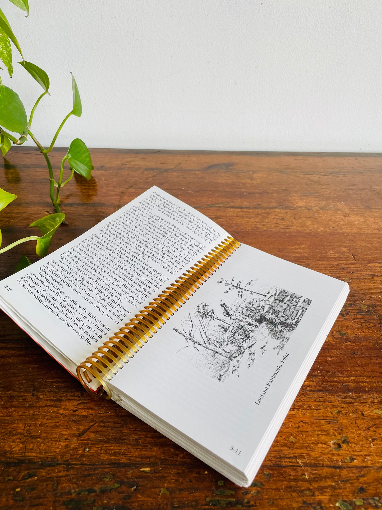 Vintage Guide to The Bruce Trail Spiral Bound Book - Seventeenth Edition (1990)