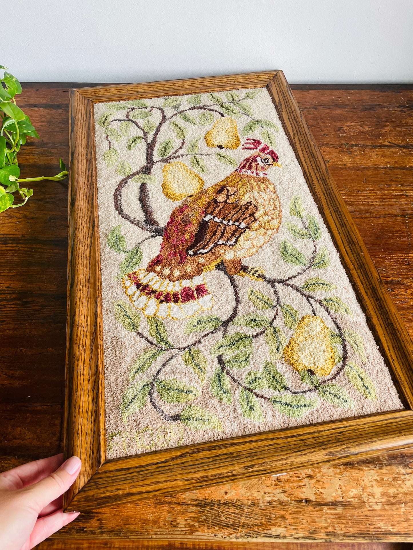 Vintage Stunning Partridge Bird in a Pear Tree Handmade Rug Hooking in Solid Wood Frame - No Shipping