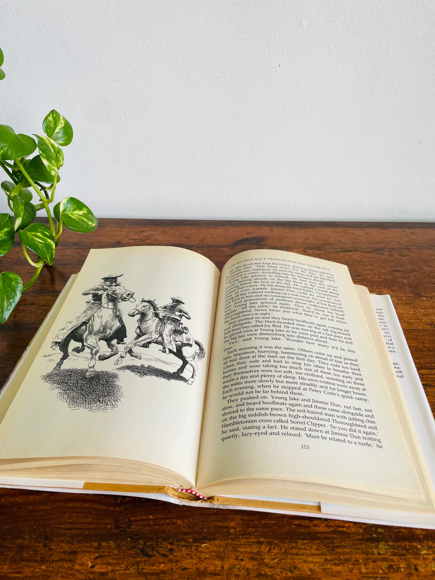 Vintage Best Horse Stories Hardcover Book Compiled by Lesley O'Mara - Dickens, Twain, Sewell, Herriot, Kipling, & More (1991)