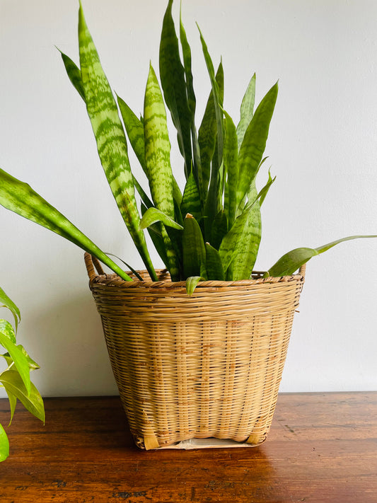 Large Wicker & Bamboo Square Base Basket with Handles - Makes a Great Plant Holder!