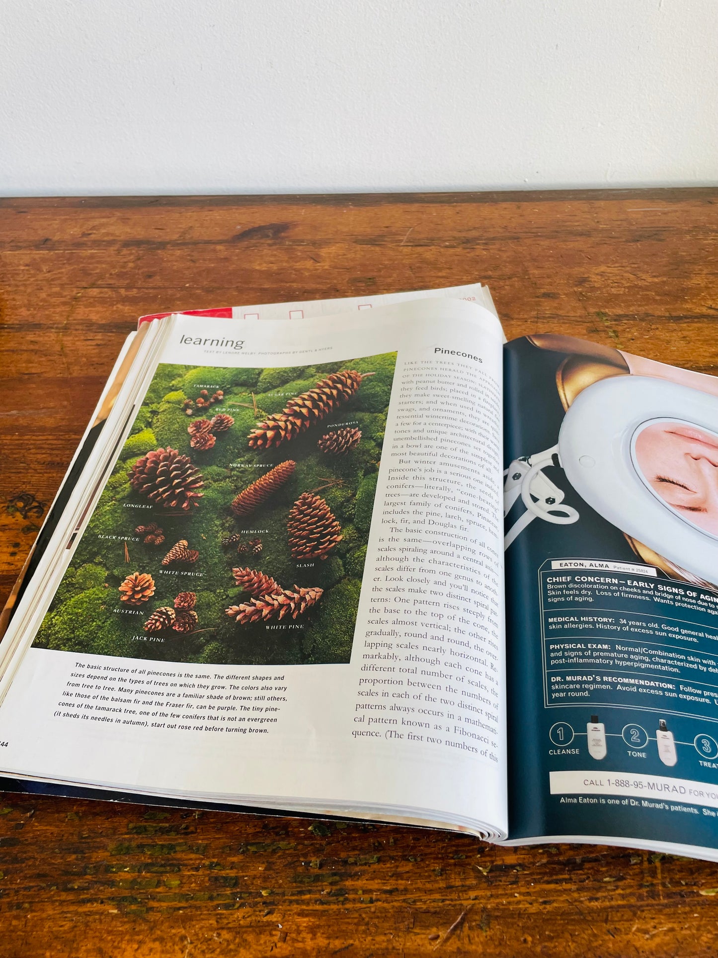 Vintage Collection of Martha Stewart Living Christmas Magazines - December 1998 & 2002  - Set of 2