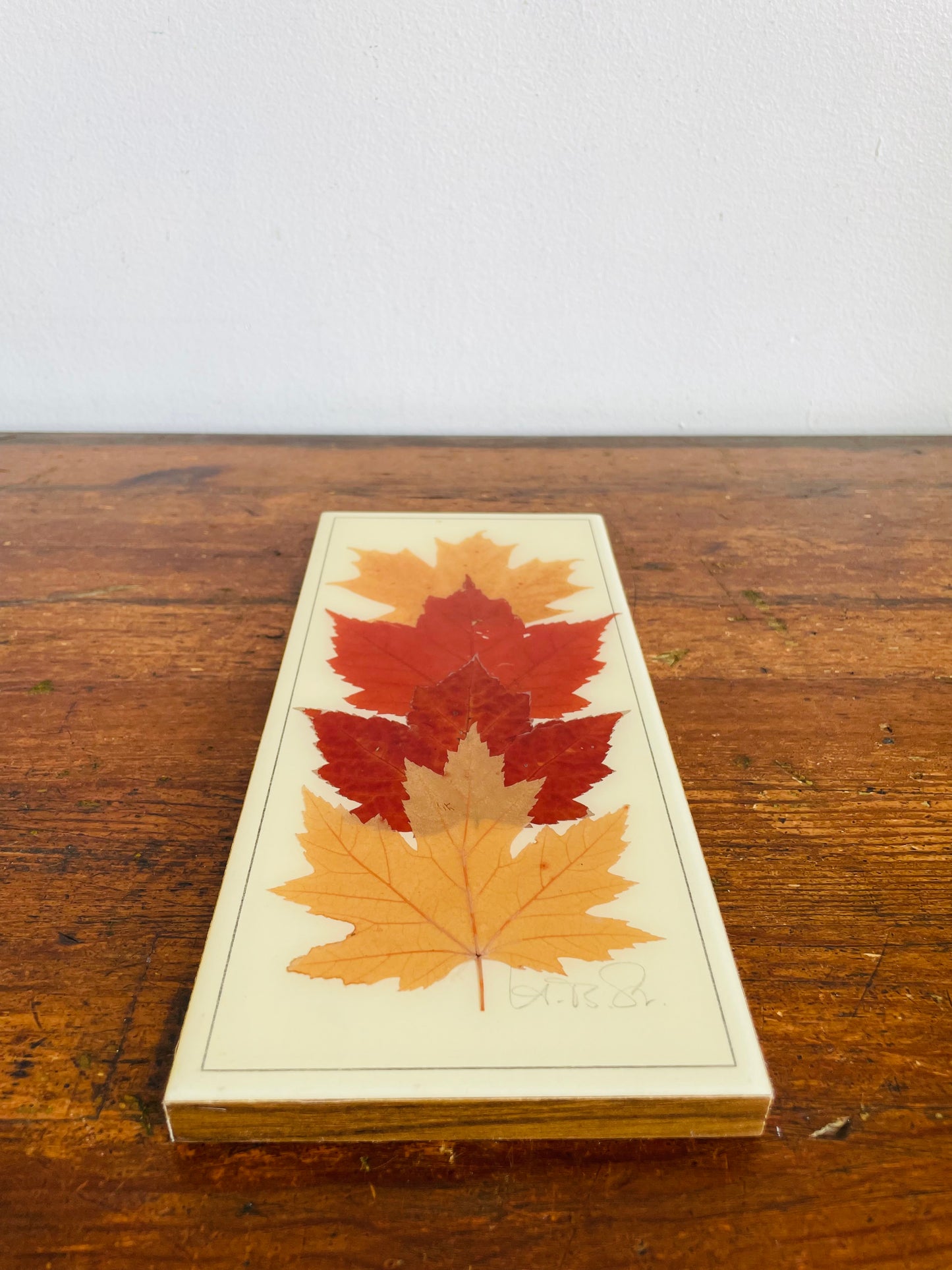 Vintage Henni Original Naturally Preserved Canadian Maple Leaves in Resin Picture - Artist Signed - Handmade in Canada