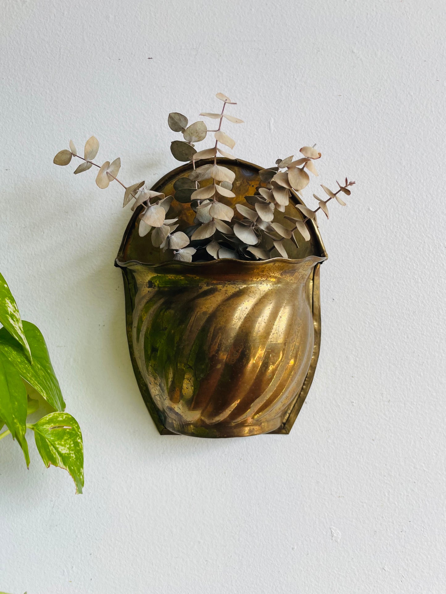 Solid Brass Scalloped Wall Pocket Planter Vase #2 - Made in India