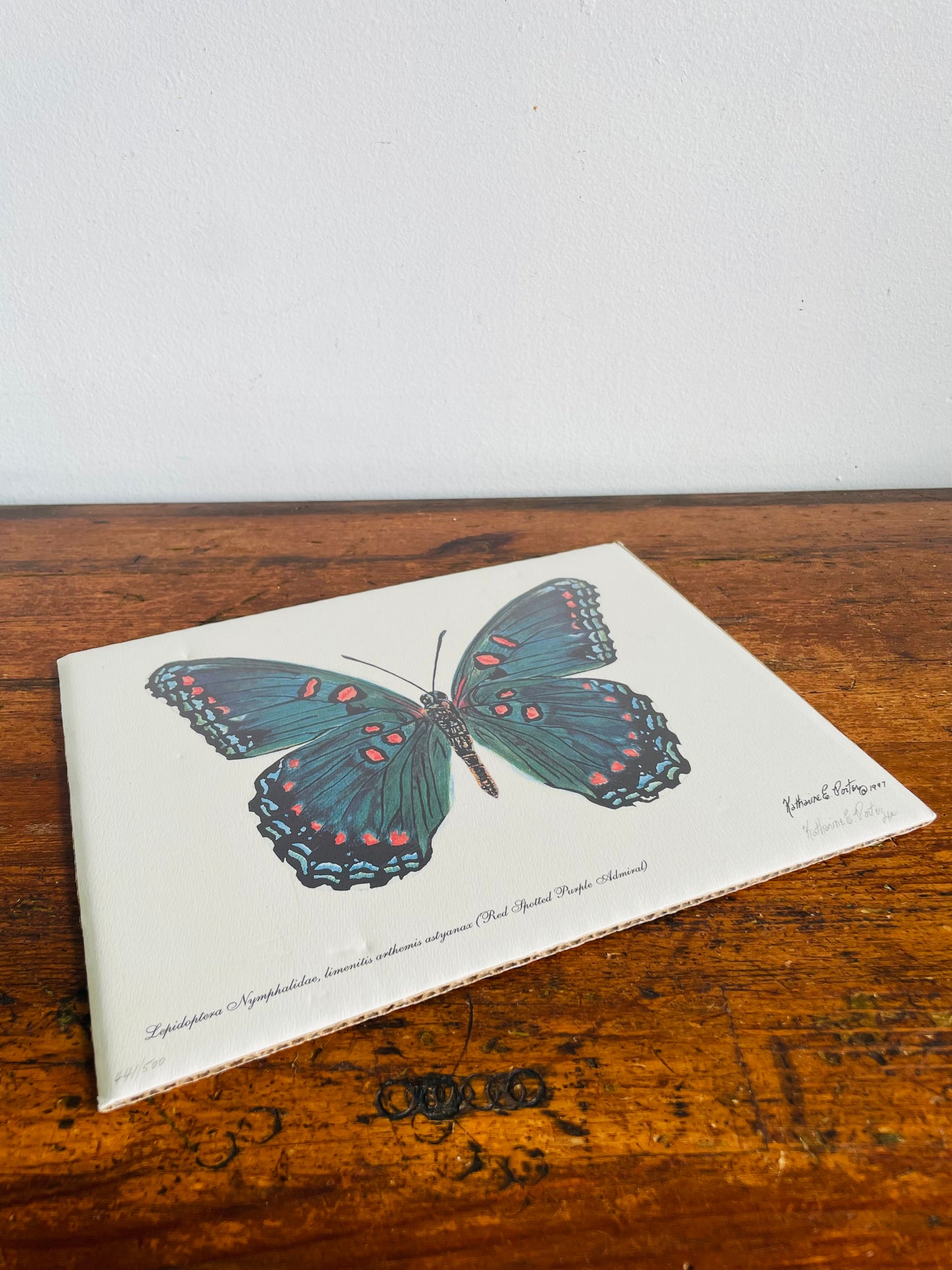 Vintage 1997 Pencil Signed & Numbered Print of Red-Spotted Purple Butterfly by Niagara Artist Katharine E. Porter #1