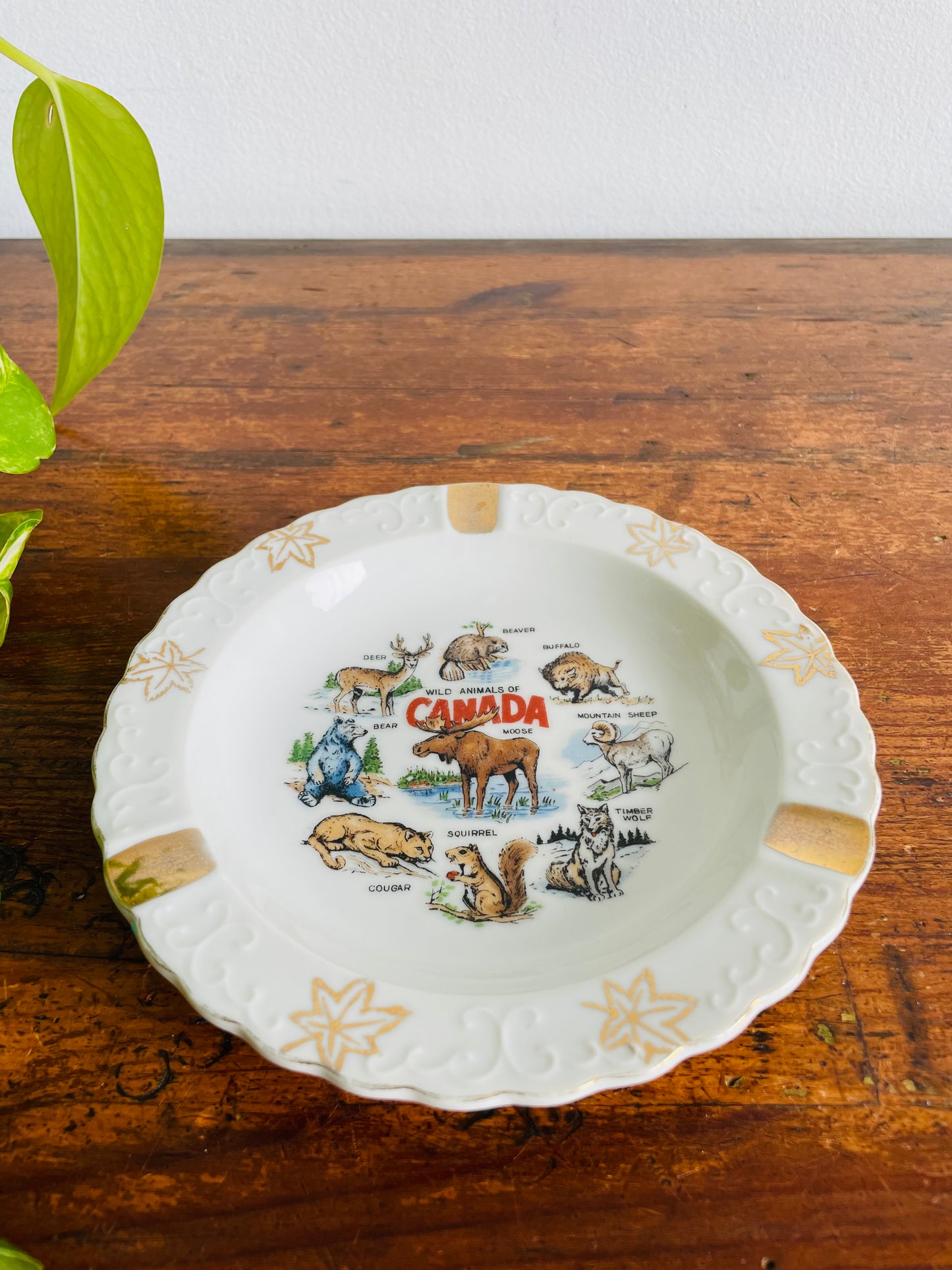 Wild Animals of Canada Ashtray or Trinket Dish - Made in Japan