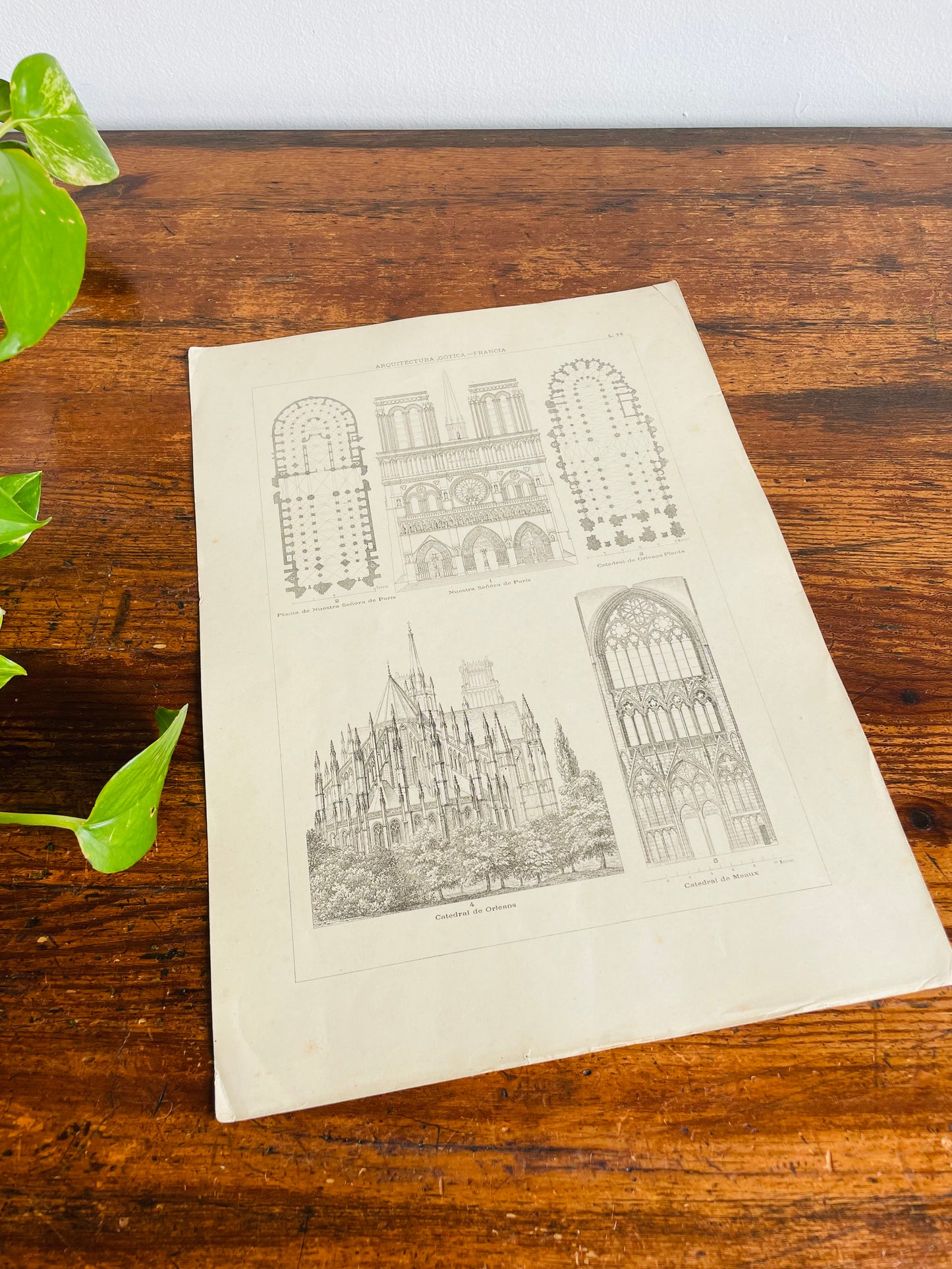 Gothic Architecture of France Page Print from Book # 1 - Found in Lisbon, Portugal