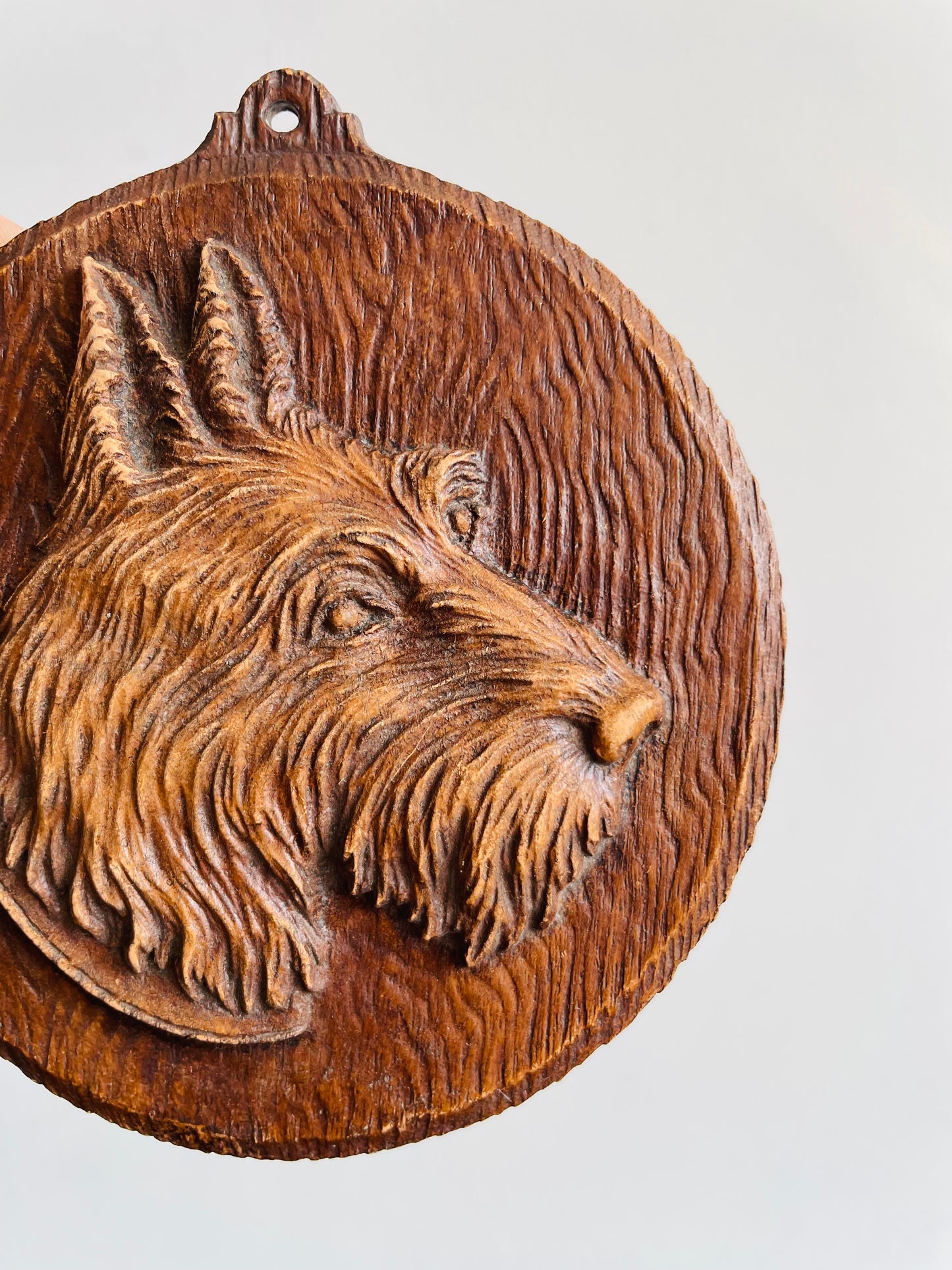 Carved Resin Wall Plaque Picture of Scruffy Terrier Dog