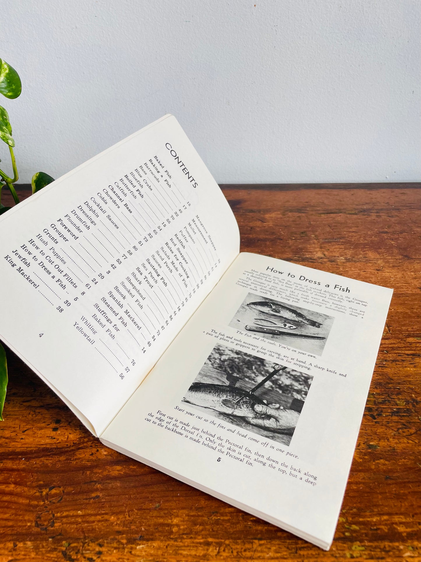 Vintage How To Cook Your Catch Softcover Recipe Cookbook by Rube Allyn (1982)
