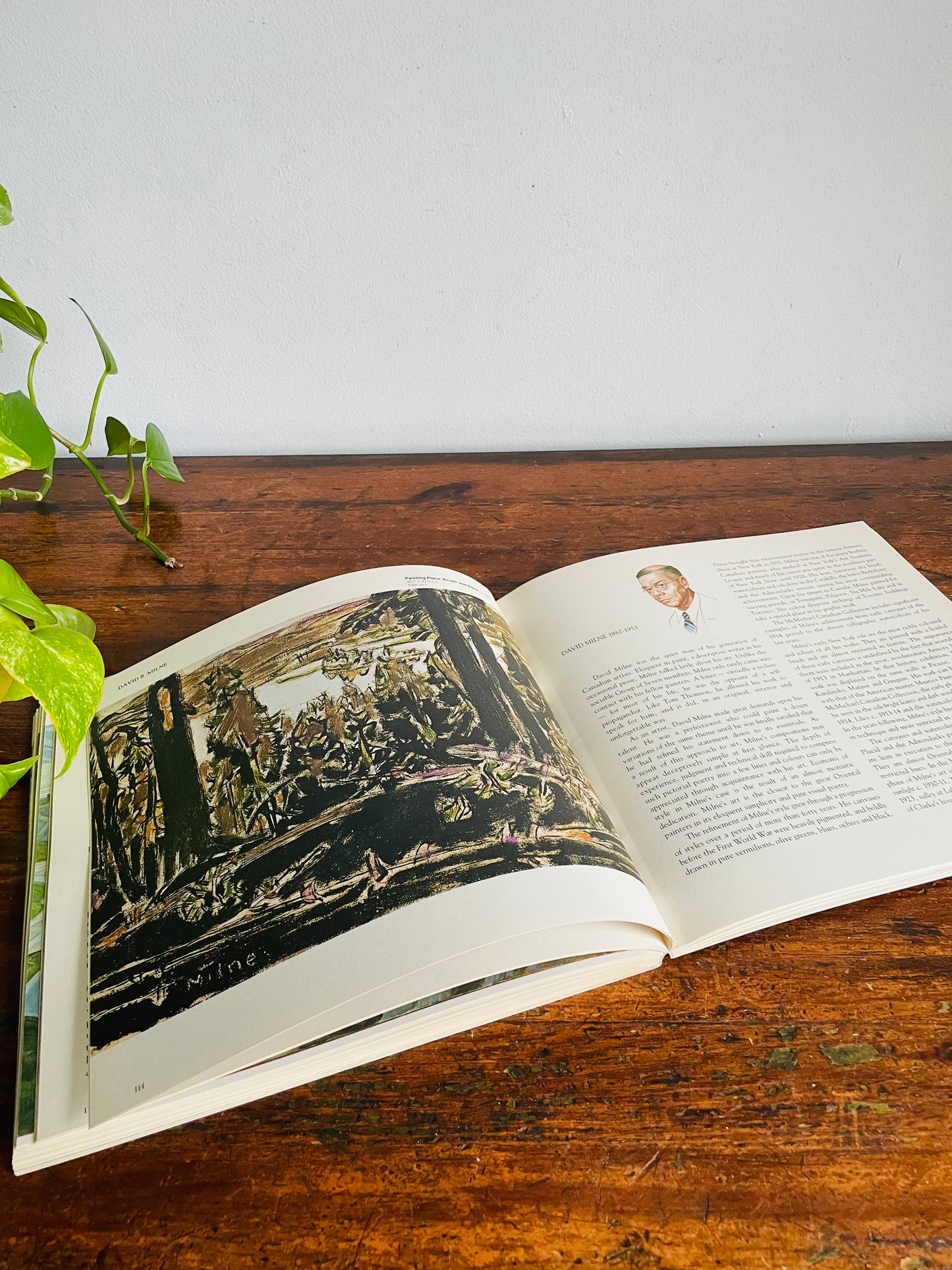 Vintage The McMichael Canadian Collection Art Book (1983)