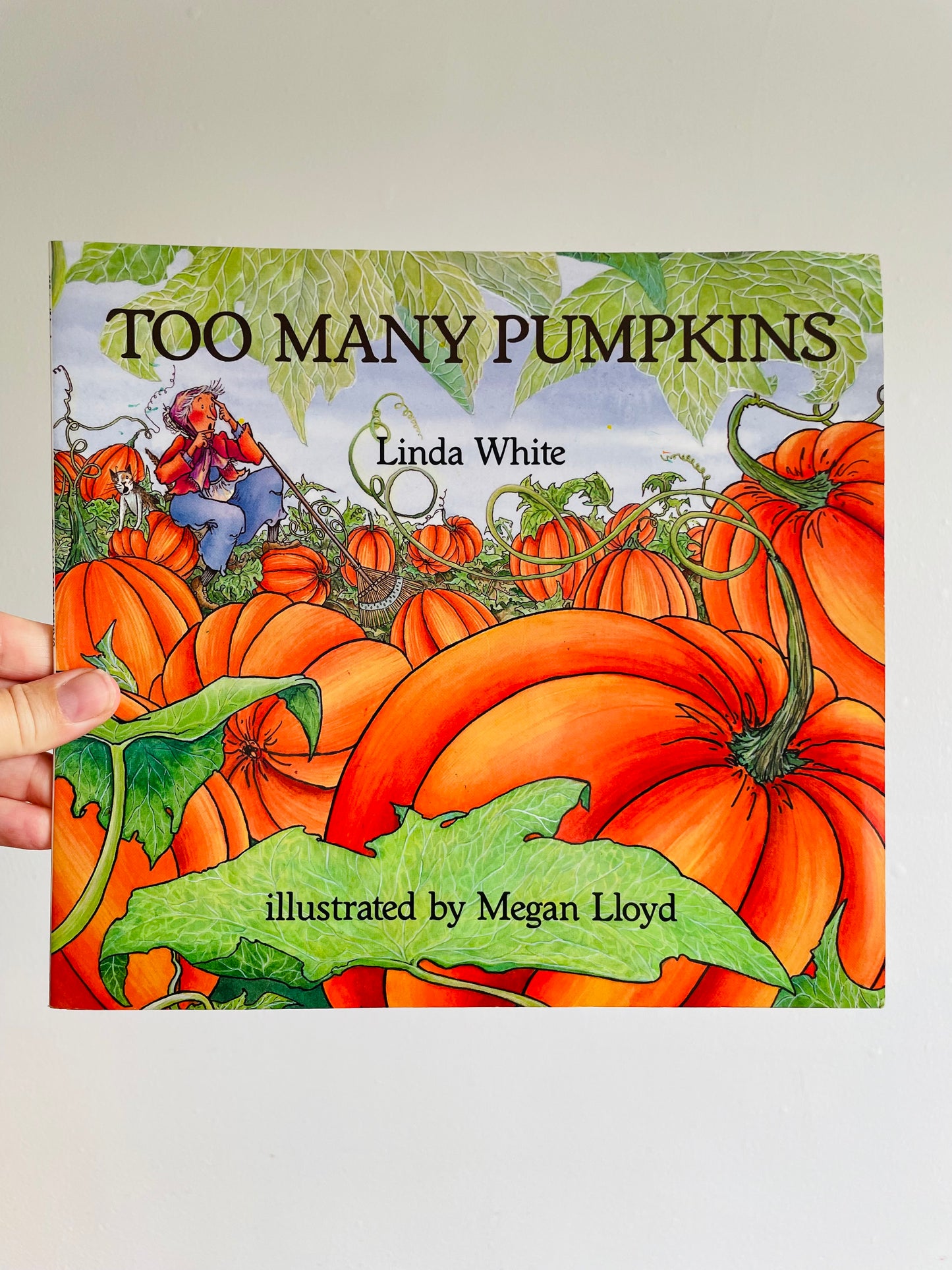 Too Many Pumpkins Book by Linda White & Megan Lloyd (1996)