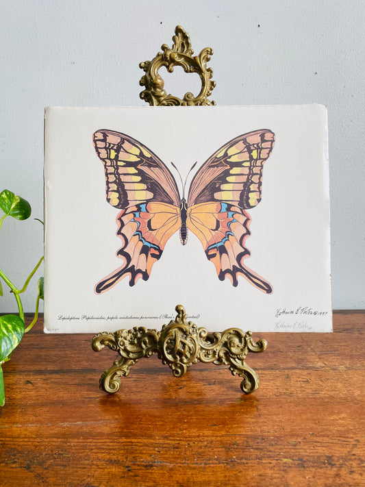 Vintage 1997 Pencil Signed & Numbered Print of Orange Butterfly by Niagara Artist Katharine E. Porter - Schaus' Swallowtail Species