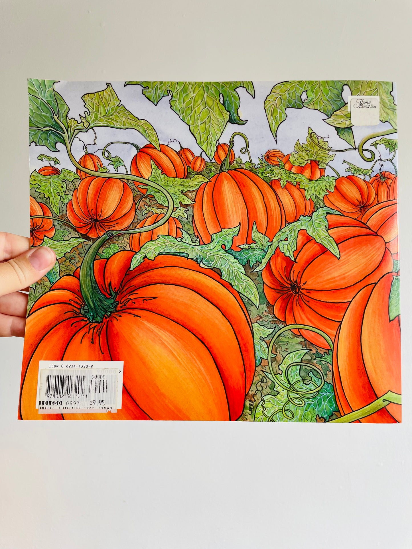 Too Many Pumpkins Book by Linda White & Megan Lloyd (1996)