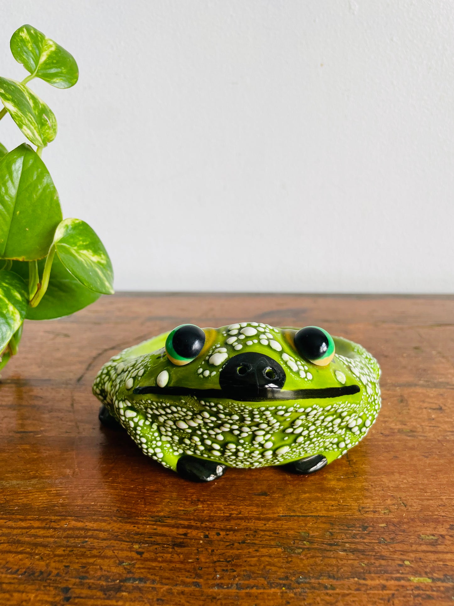 Vintage Hand Painted Cute & Squat Frog Scrubbie, Sponge or Soap Holder - Signed Josie