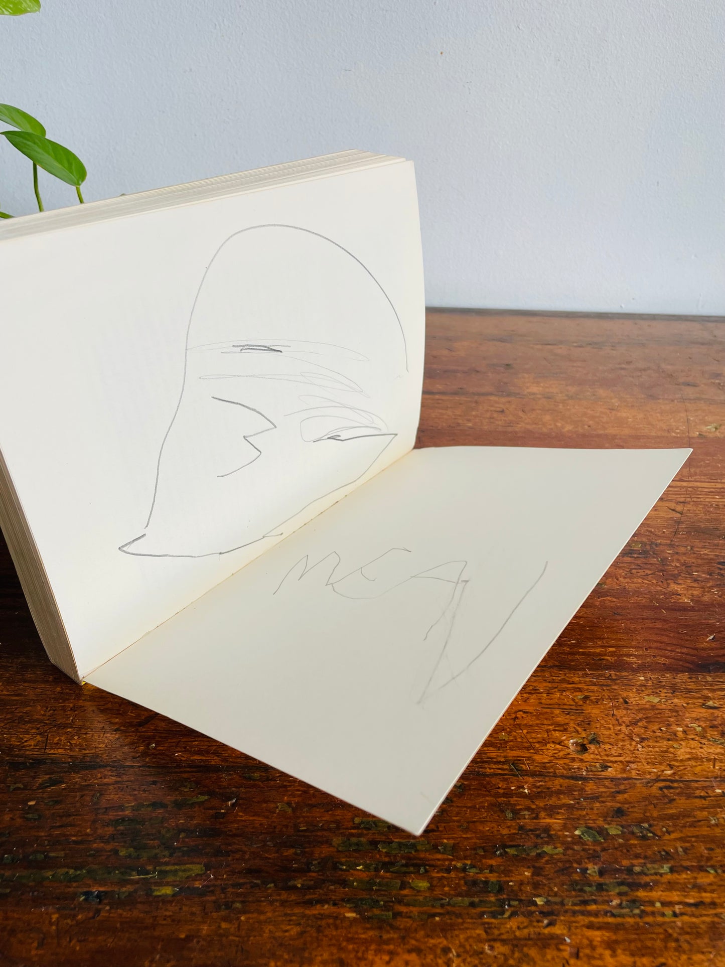 Vintage A Compendium of Canadian Folk Artists Book by Terry Kobayashi & Michael Bird (1985)