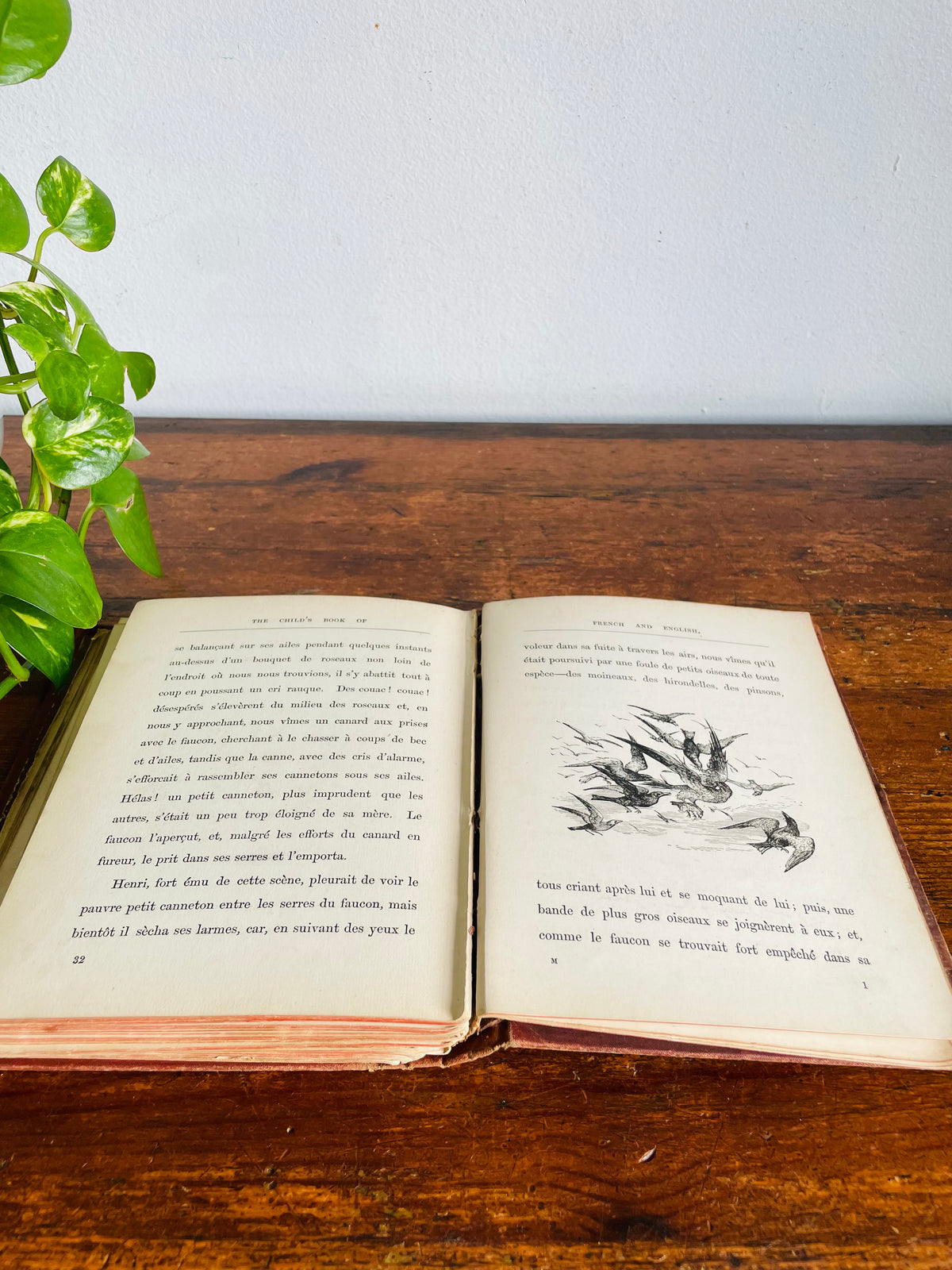 Vintage 1940s Child's Book of French & English Embossed Hardcover Book - Illustrated with 150 Engravings