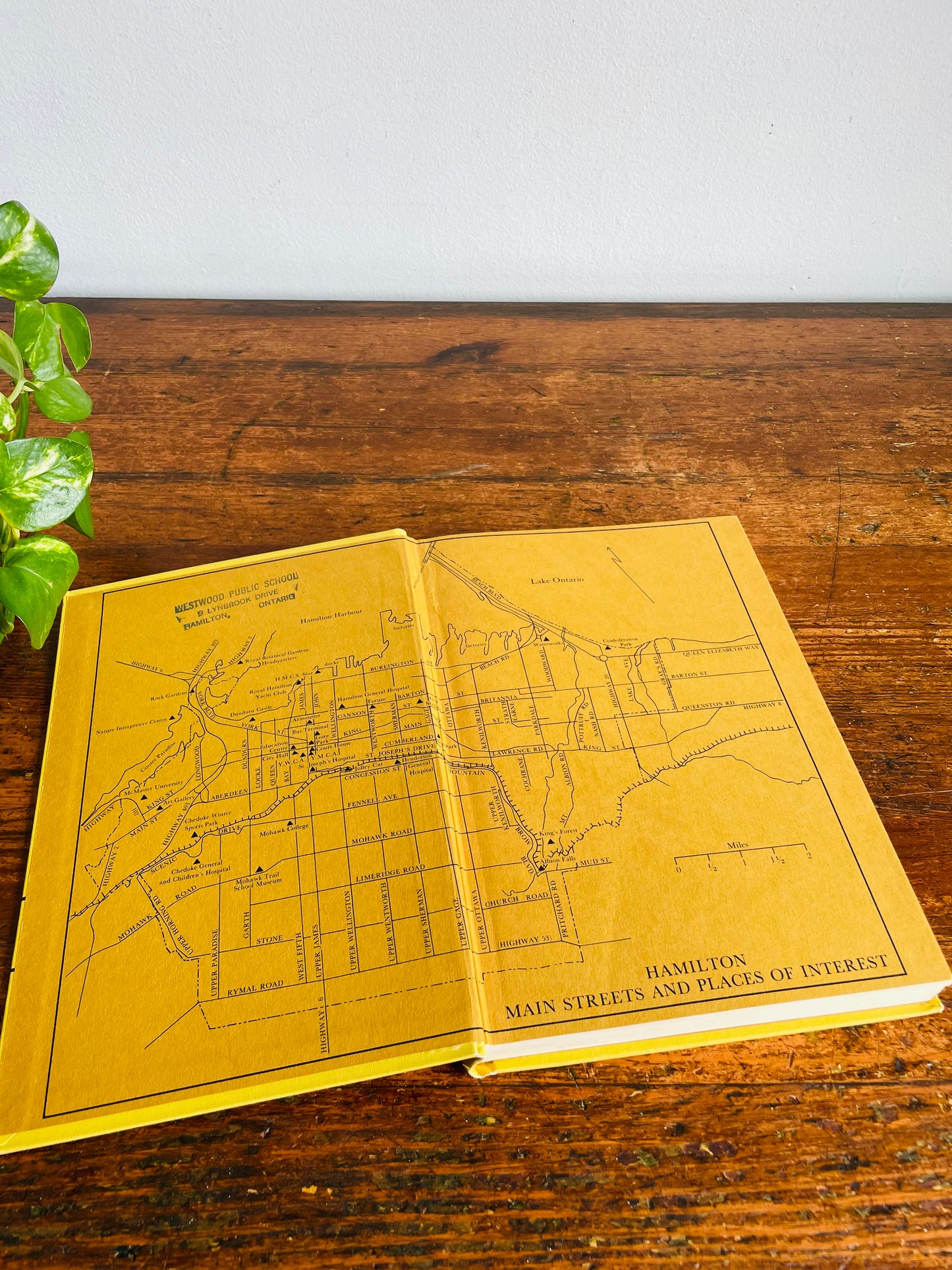Vintage Hamilton: The Story of a City Clothbound Hardcover Book - A Centennial Project by Hamilton Board of Education - Louis C. Evans / Ryerson Press (1970)