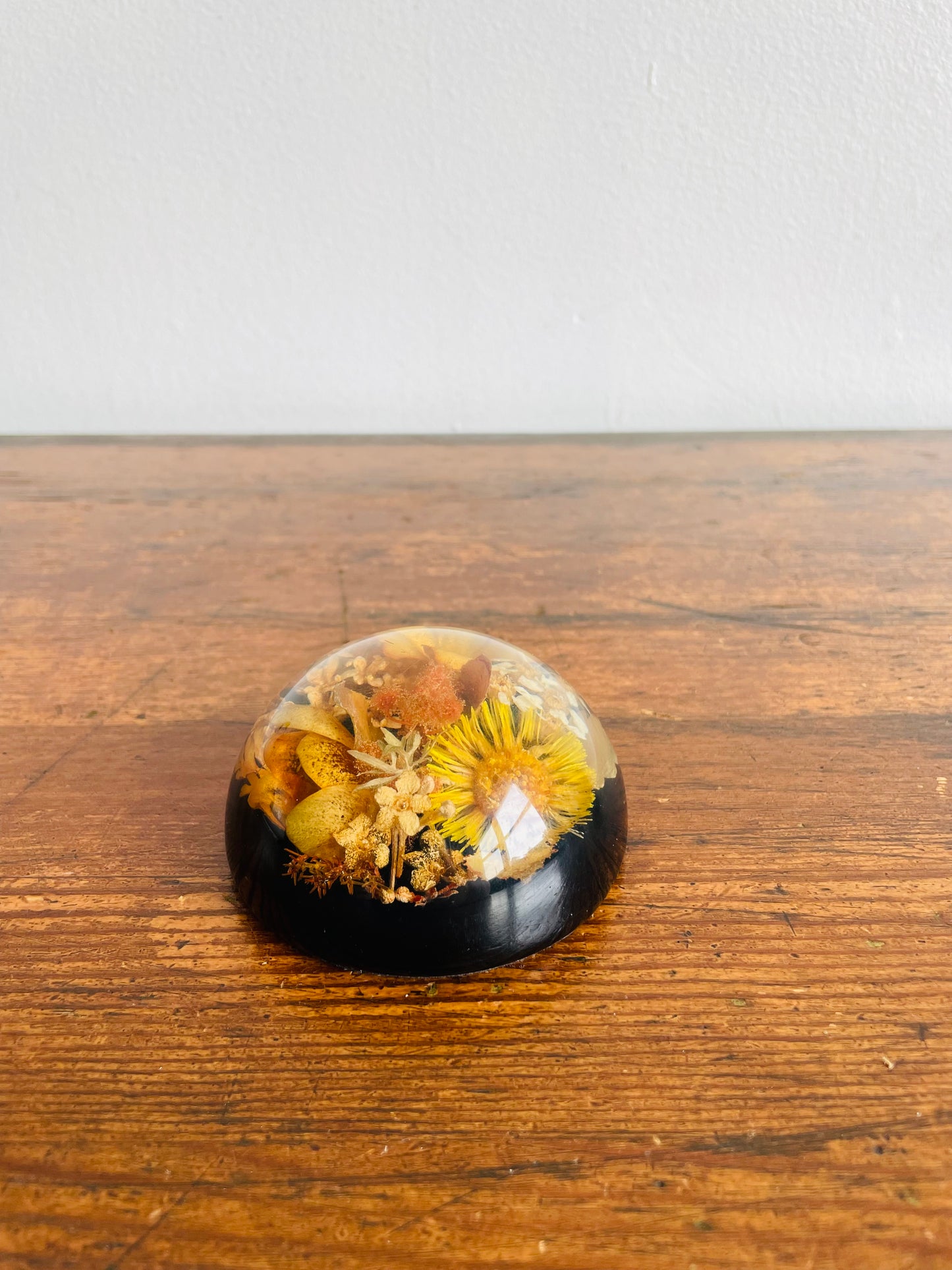 Preserved Dried Flowers Lucite Paperweight