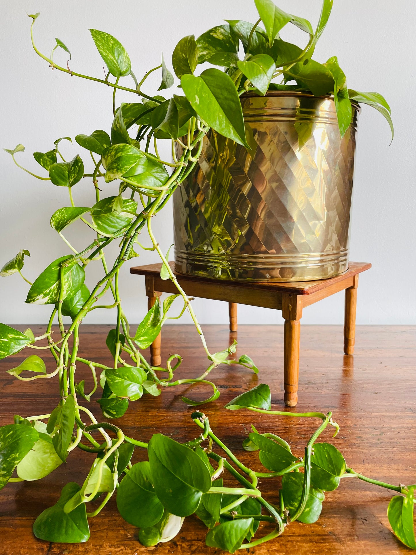 Giant Brass 11" Planter Pot Bucket - Made in India