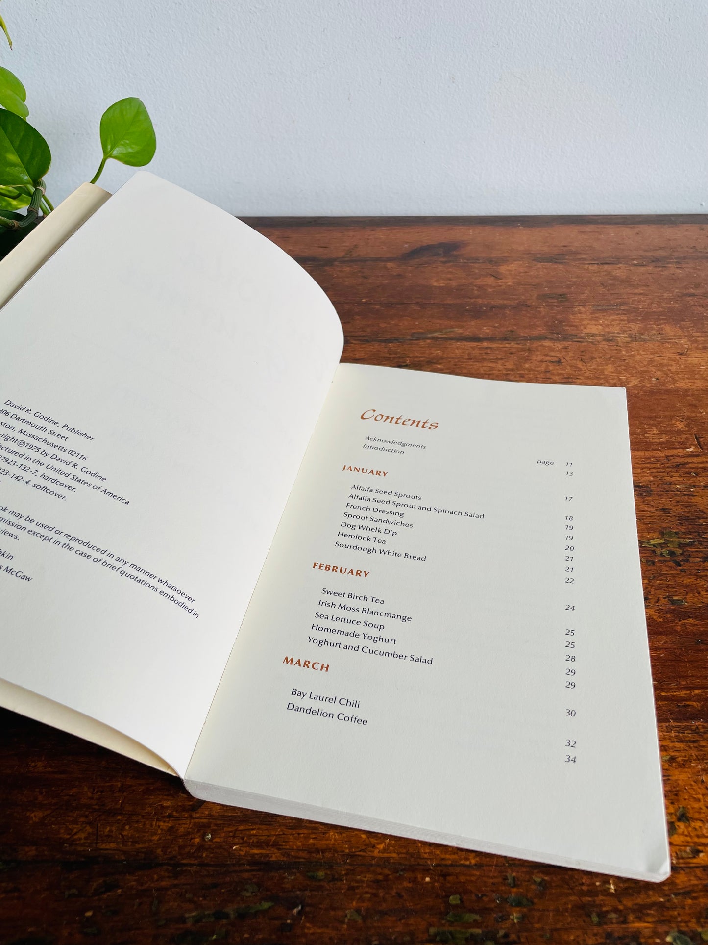 Vintage The Wild Gourmet Paperback Book by Babette Brackett & Maryann Lash (1975) - A Forager's Guide to the Finding & Cooking of Wild Foods