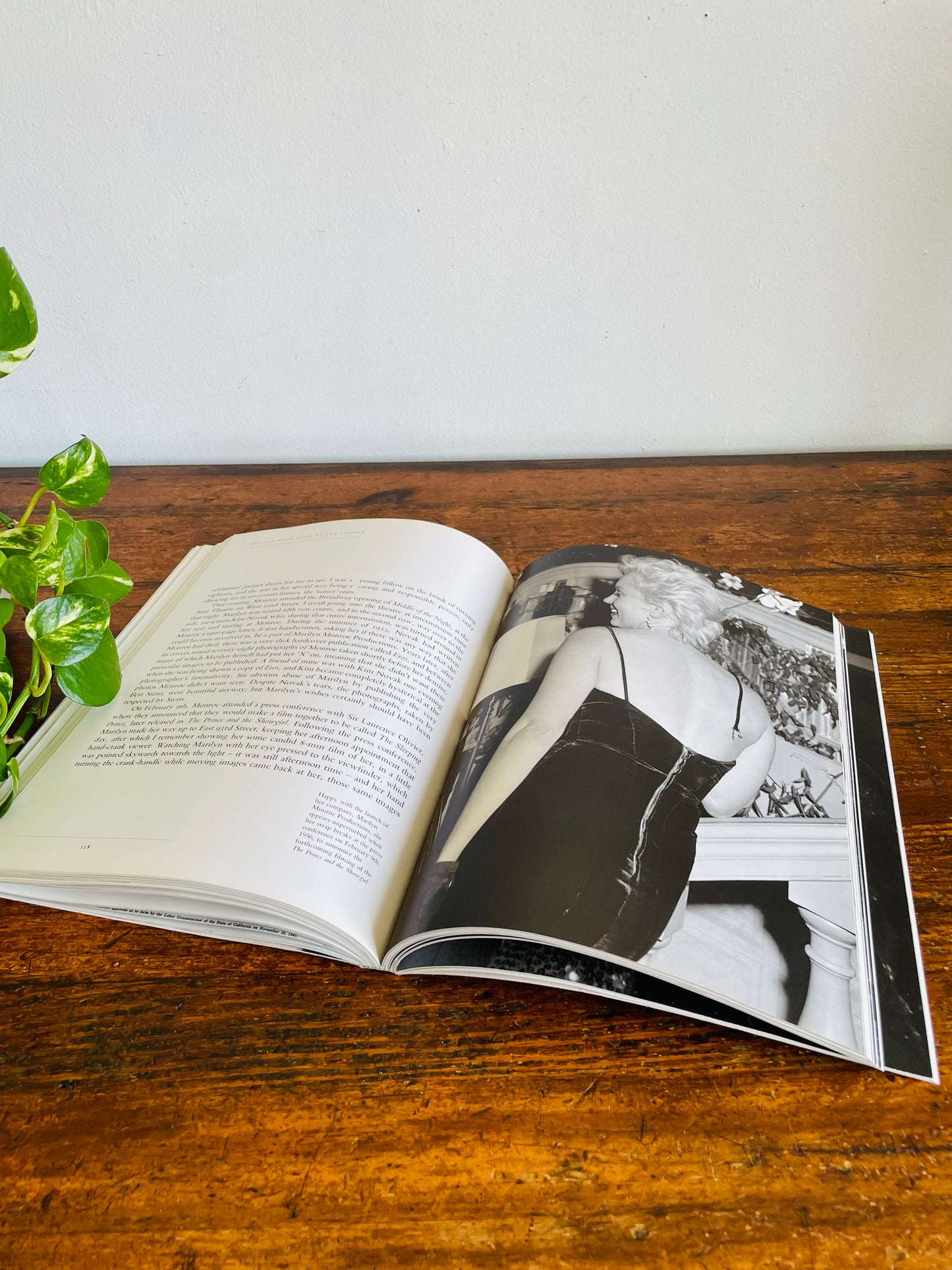 Vintage Marilyn: The Ultimate Look At The Legend Softcover Coffee Table Book by James Haspiel (1993)