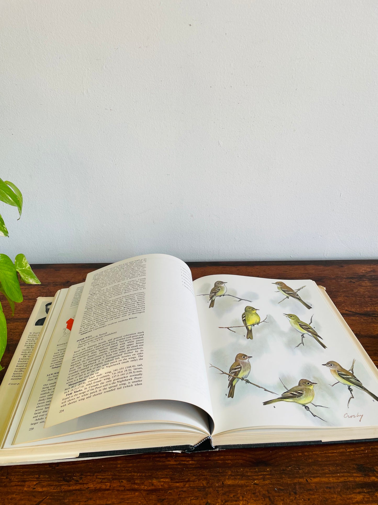 The Birds of Canada by W. Earl Godfrey - Clothbound Hardcover Book (1979)