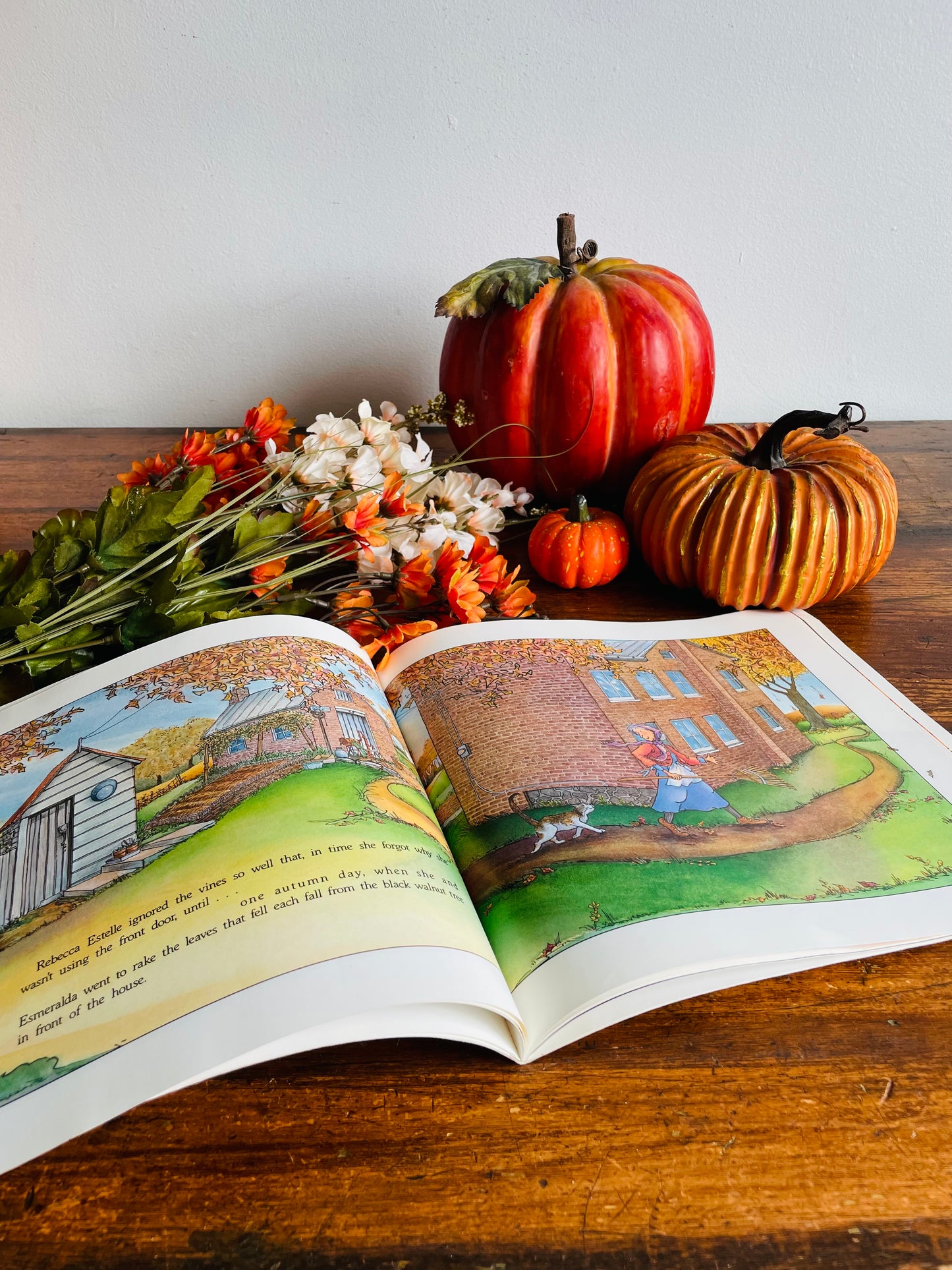 Too Many Pumpkins Book by Linda White & Megan Lloyd (1996)