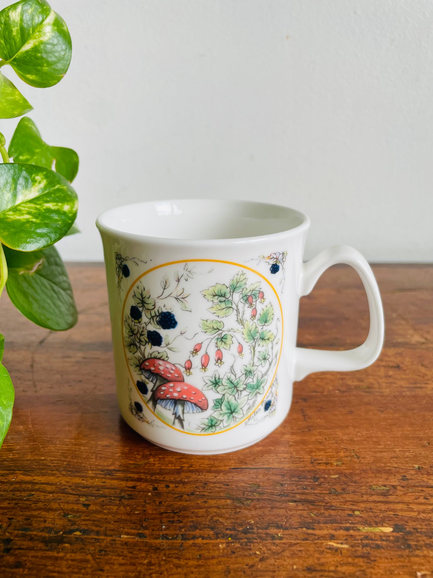 Vintage Grosvenor Fine Bone China Bittersweet Pattern Mushroom Mug - Design by Miles Bayley -Made in England