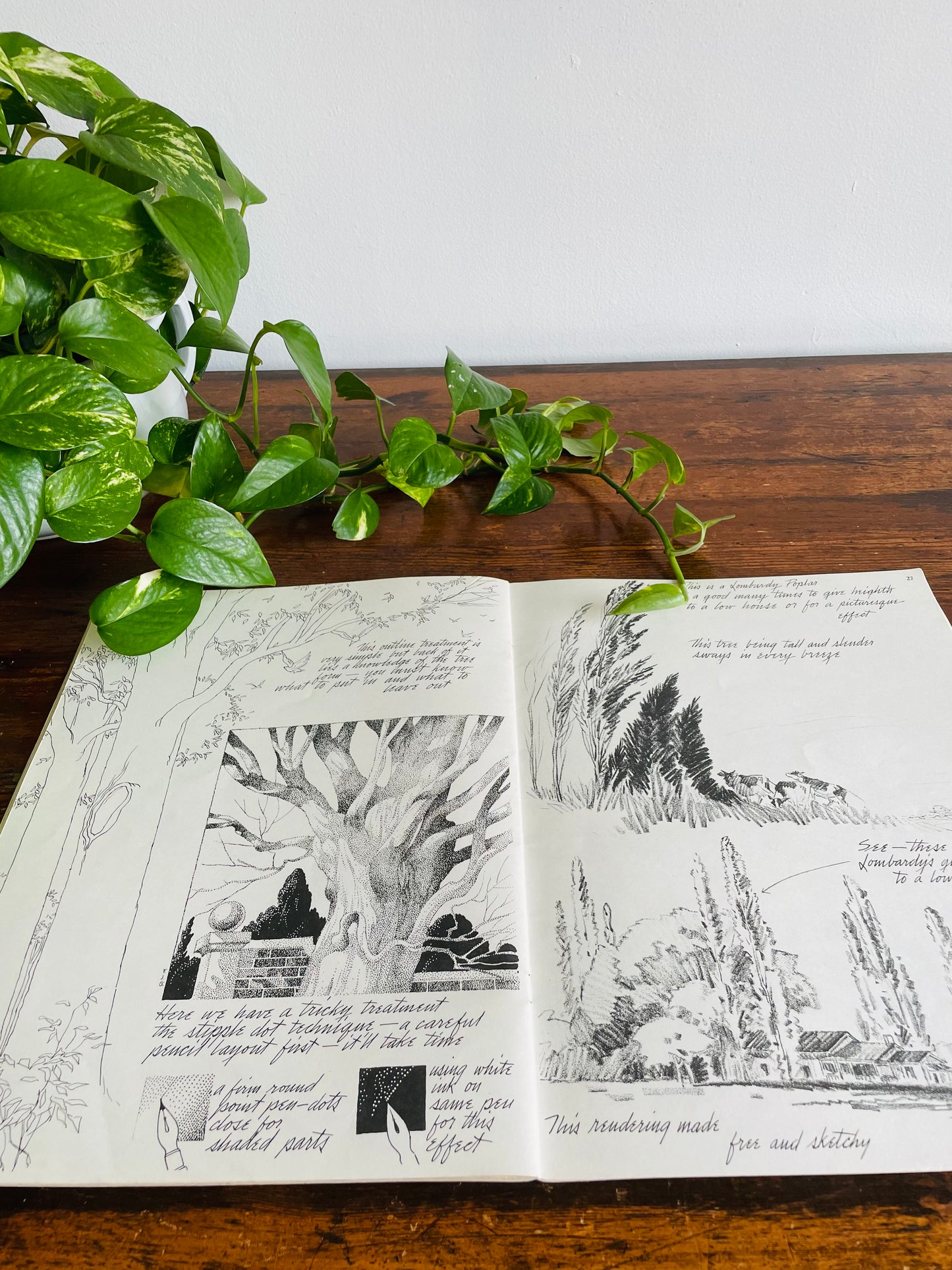 Walter T. Foster Art Book - How to Draw Trees:  Drawing Shrubs, Trees, and Landscapes